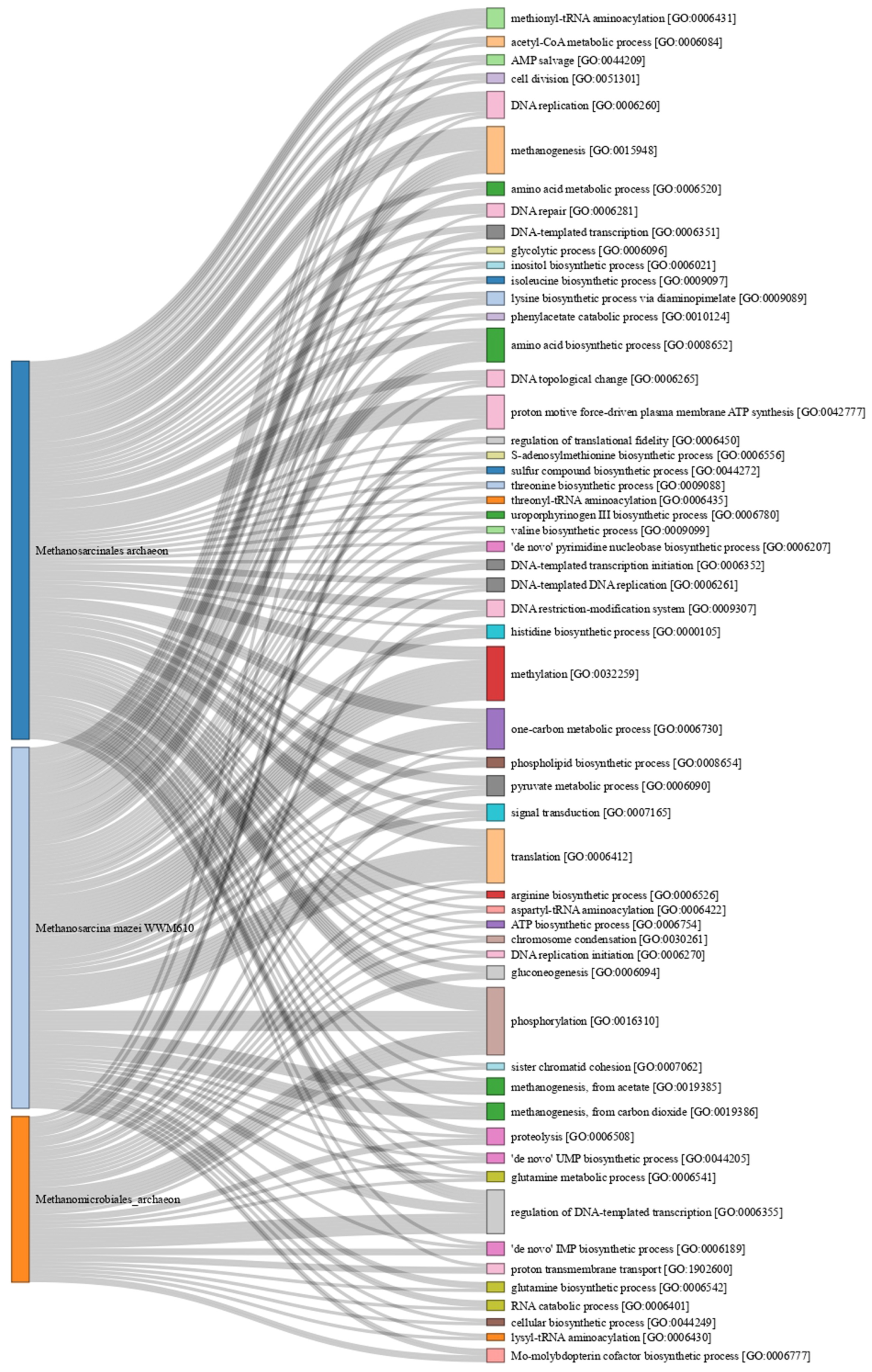 Microorganisms 11 01640 g011 Microorganisms 11 01640 g011
