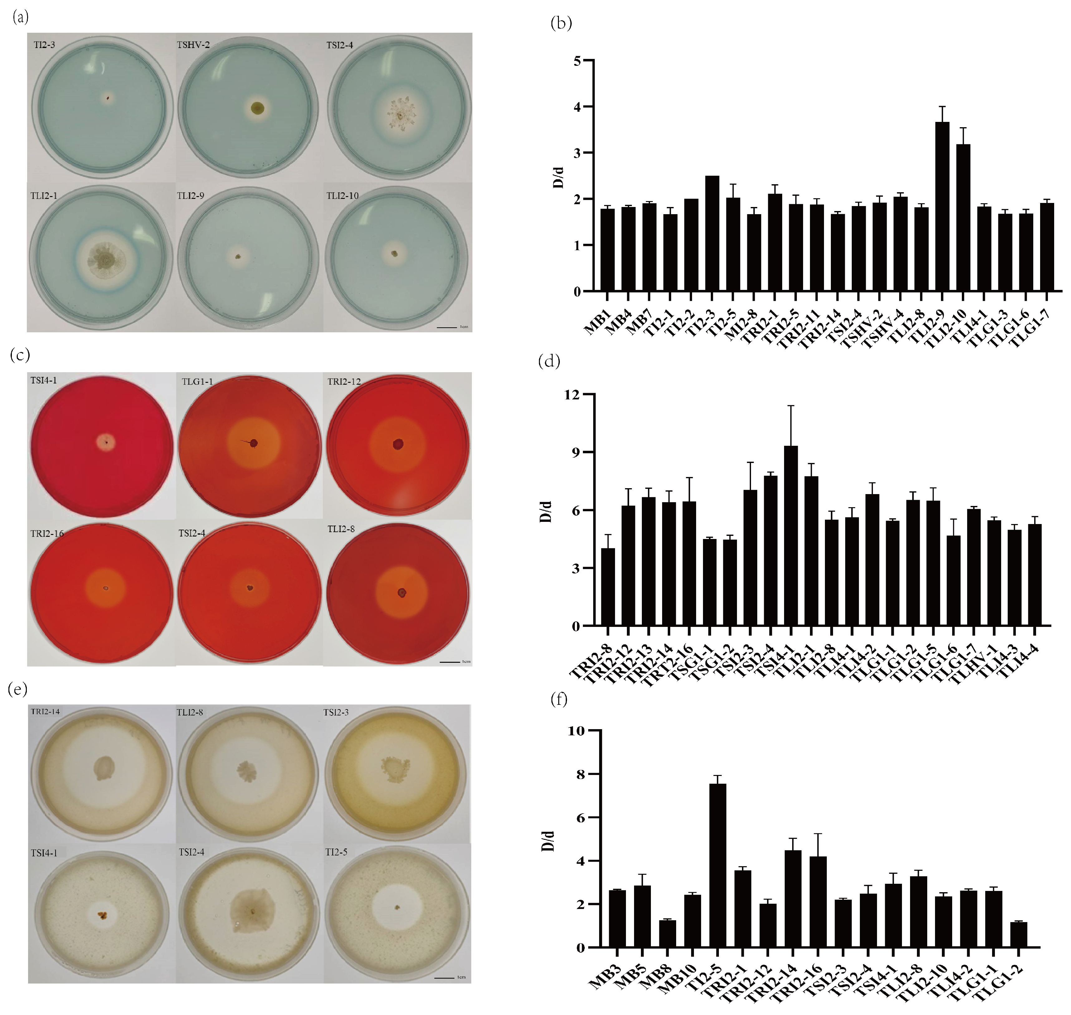 Microorganisms 11 01645 g006 Microorganisms 11 01645 g006