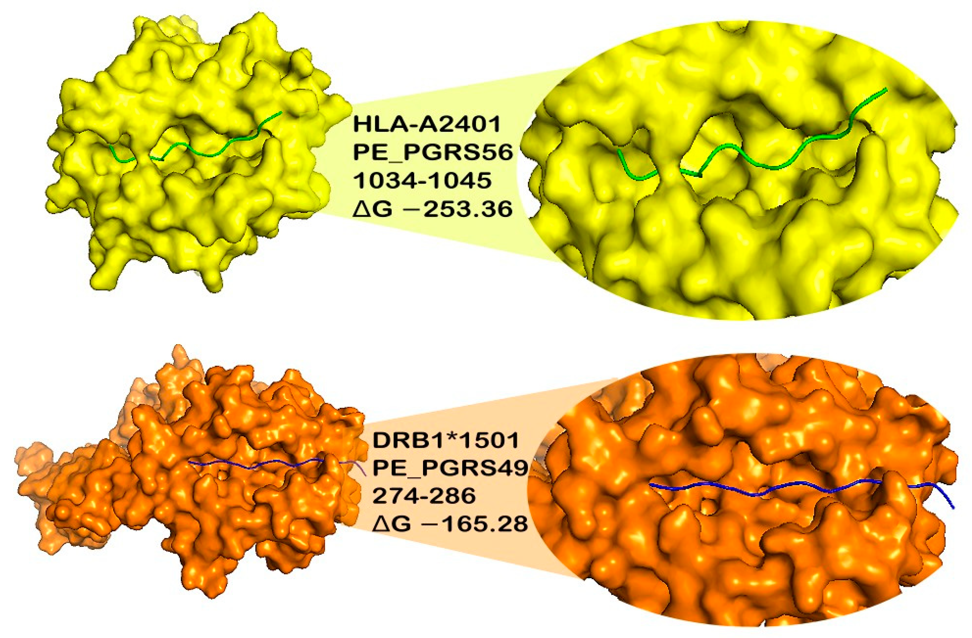 Microorganisms 11 01647 g001b