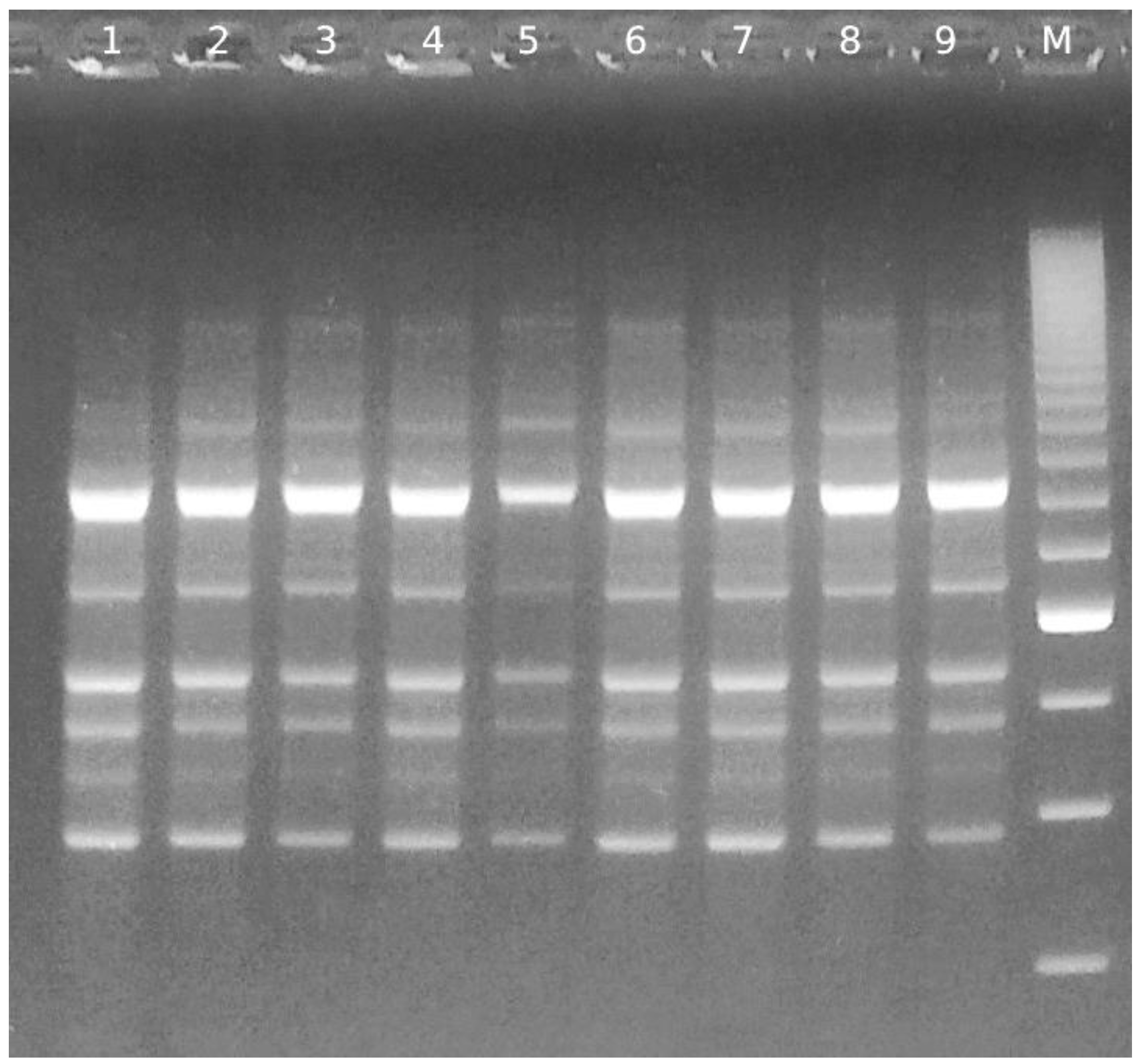 Microorganisms 11 01649 g001 Microorganisms 11 01649 g001