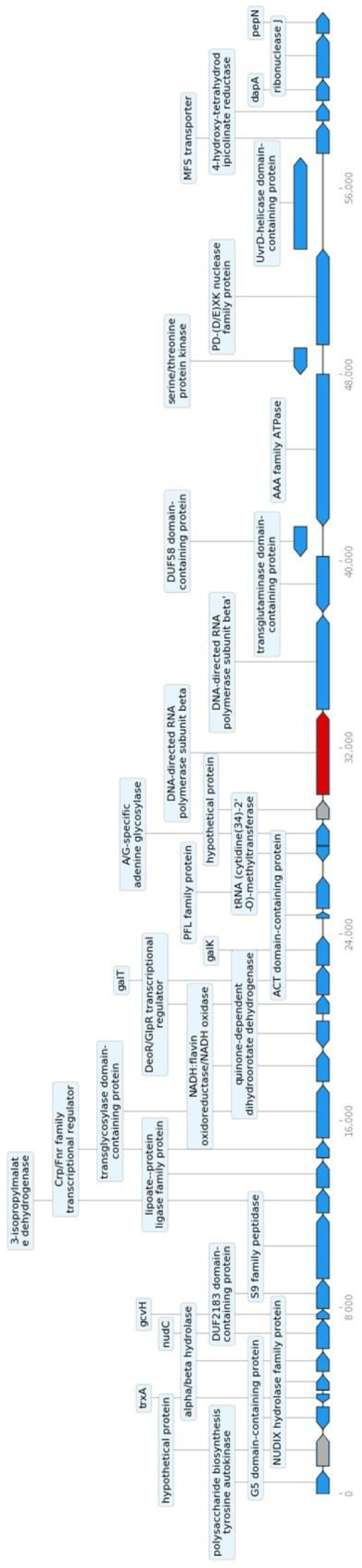 Microorganisms 11 01649 g003 Microorganisms 11 01649 g003