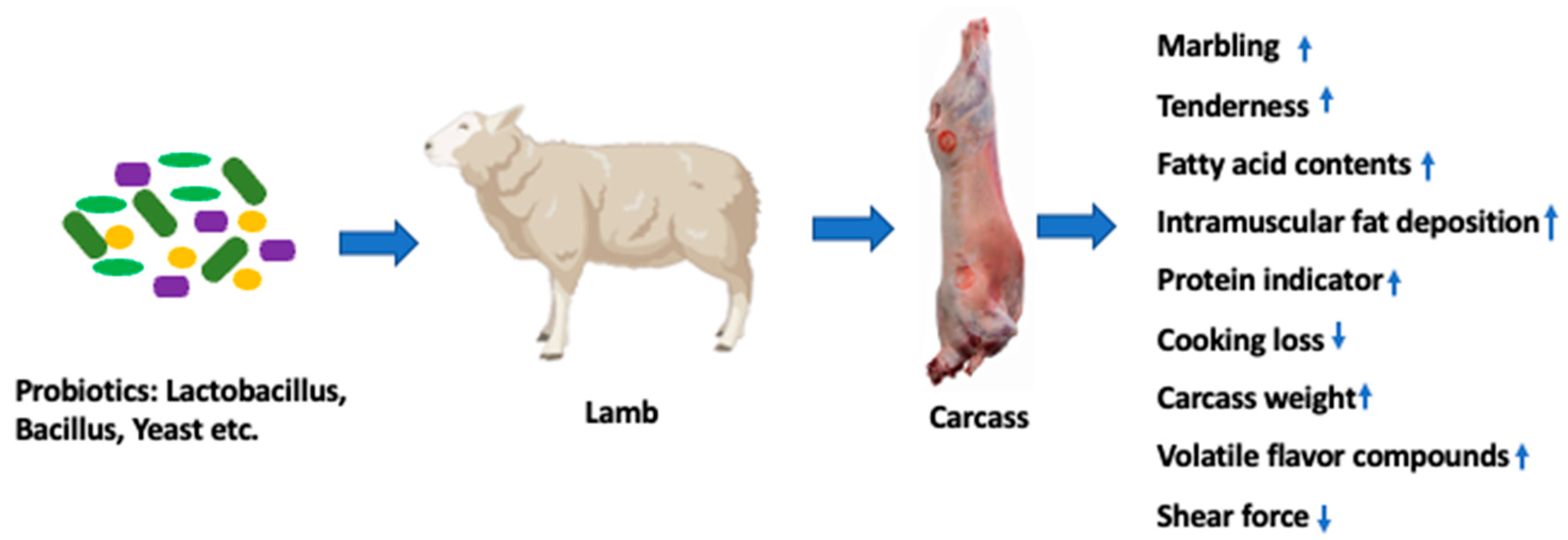 Microorganisms 11 01652 g003 Microorganisms 11 01652 g003