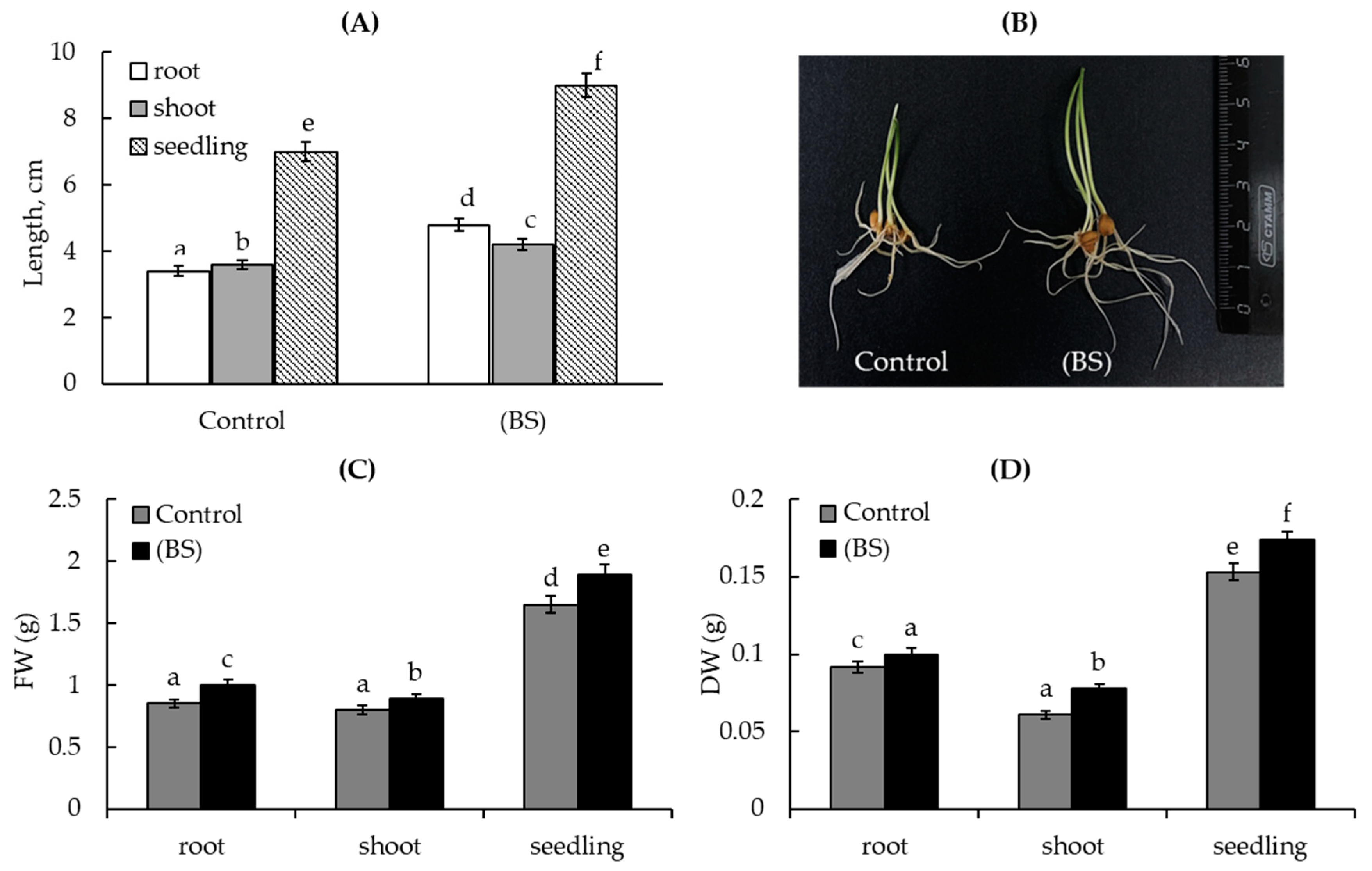 Microorganisms 11 01653 g002 Microorganisms 11 01653 g002