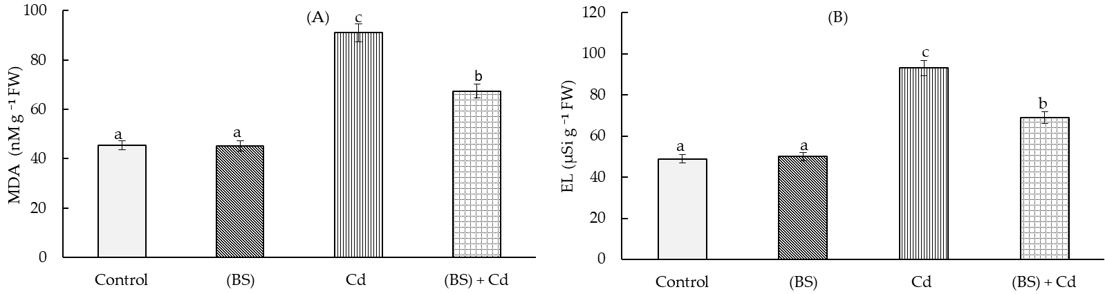 Microorganisms 11 01653 g006 Microorganisms 11 01653 g006