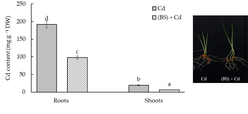 Microorganisms 11 01653 g007 Microorganisms 11 01653 g007