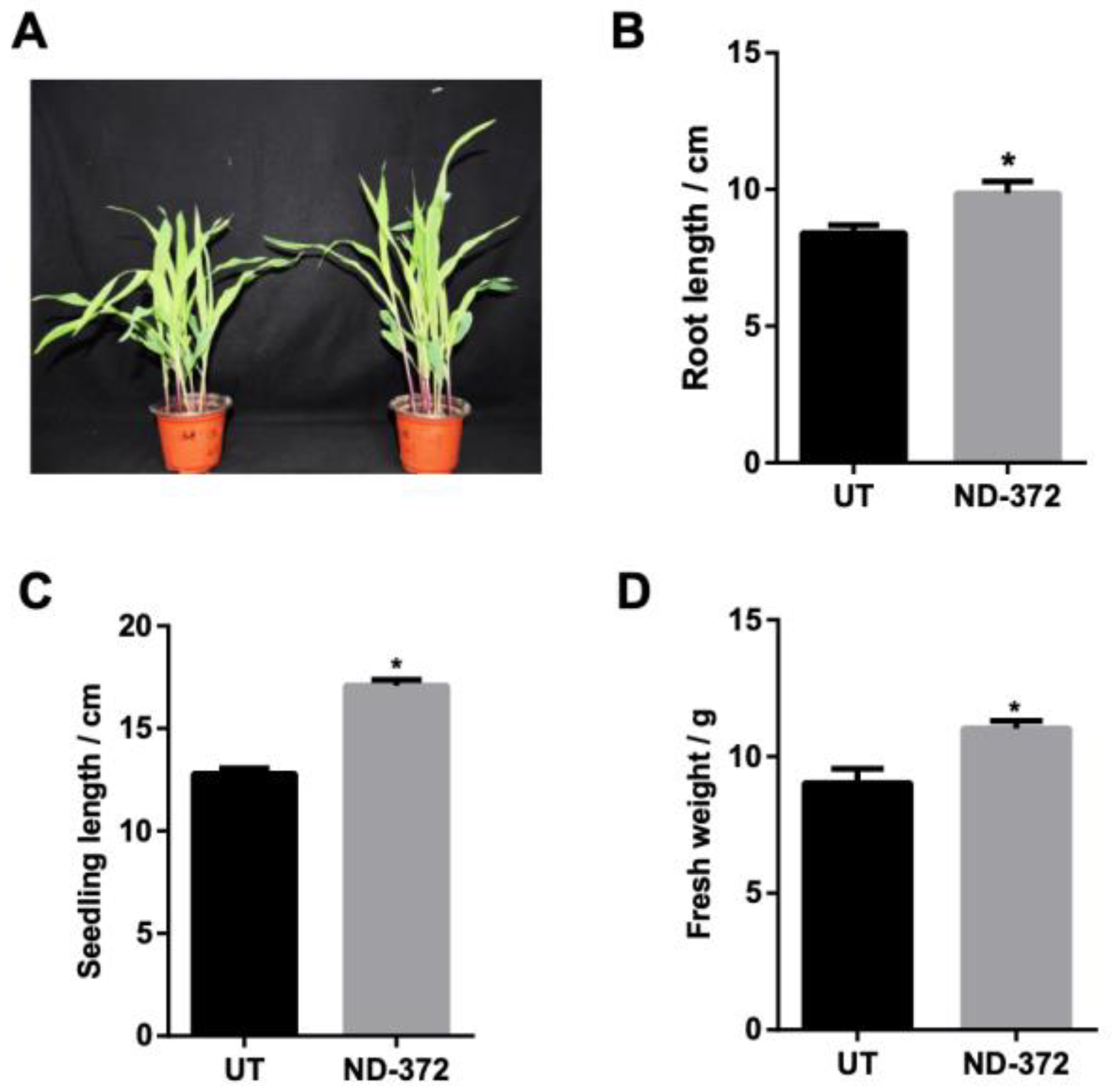 Microorganisms 11 01654 g001 Microorganisms 11 01654 g001