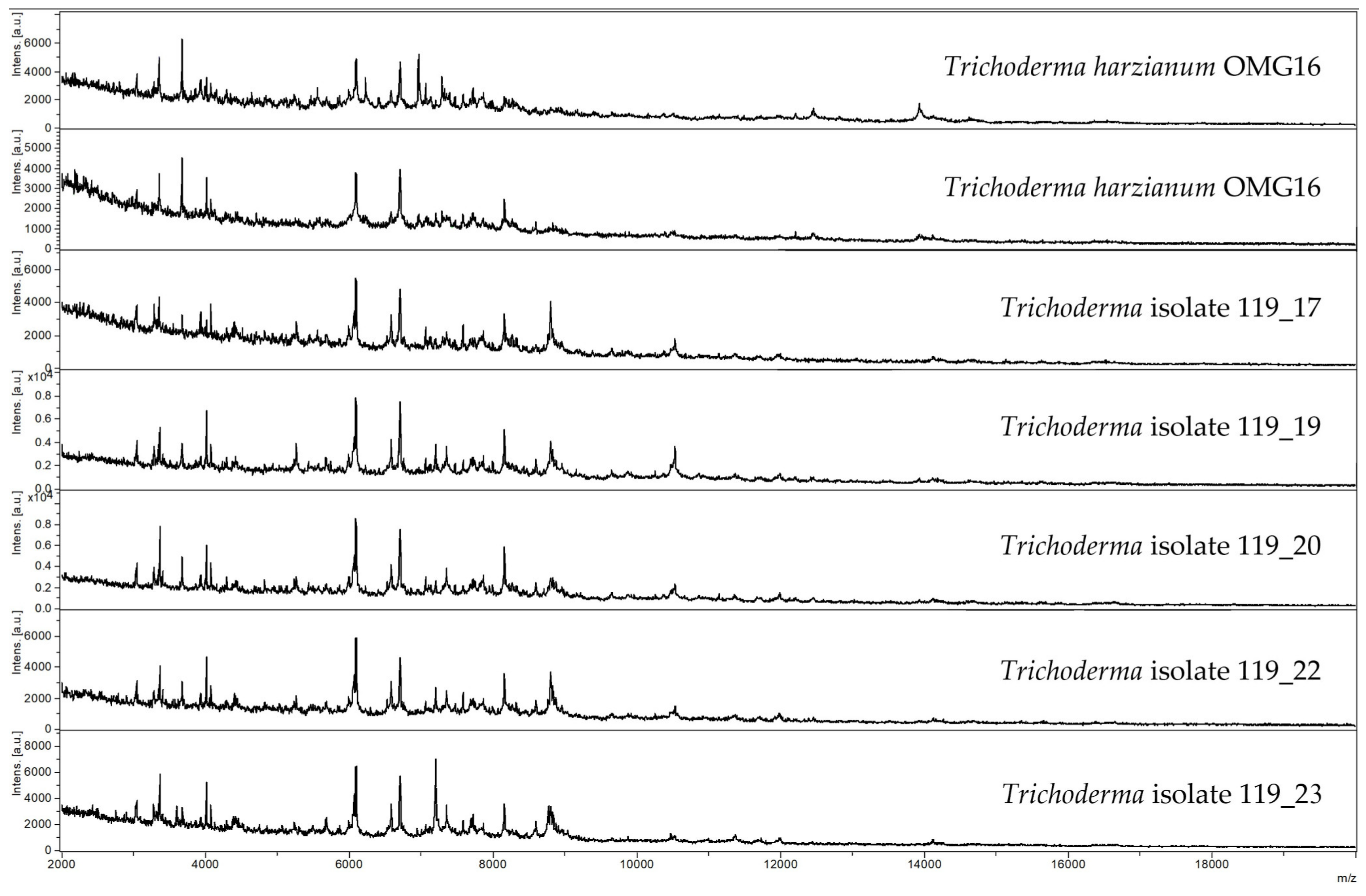 Microorganisms 11 01655 g002 Microorganisms 11 01655 g002