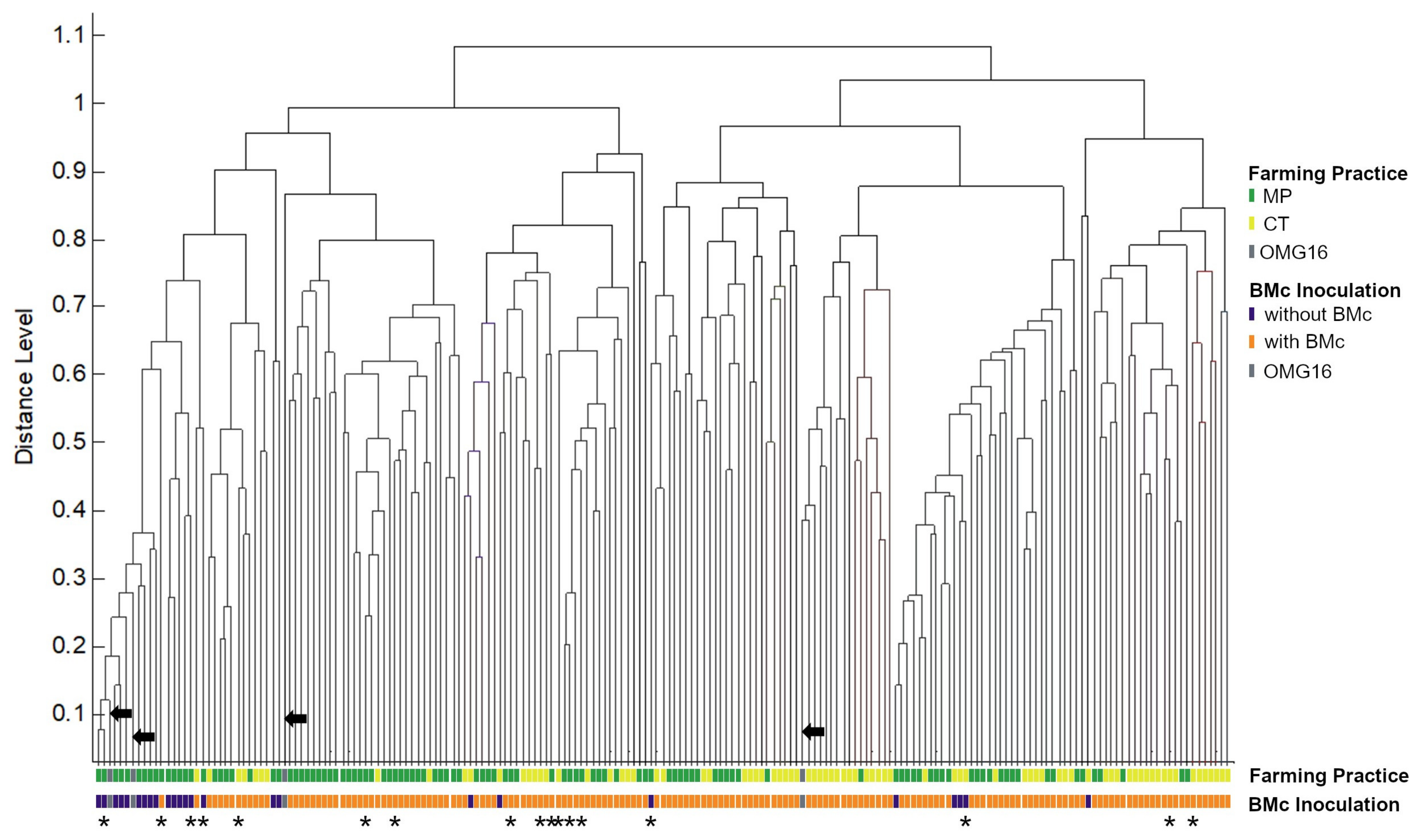 Microorganisms 11 01655 g003 Microorganisms 11 01655 g003