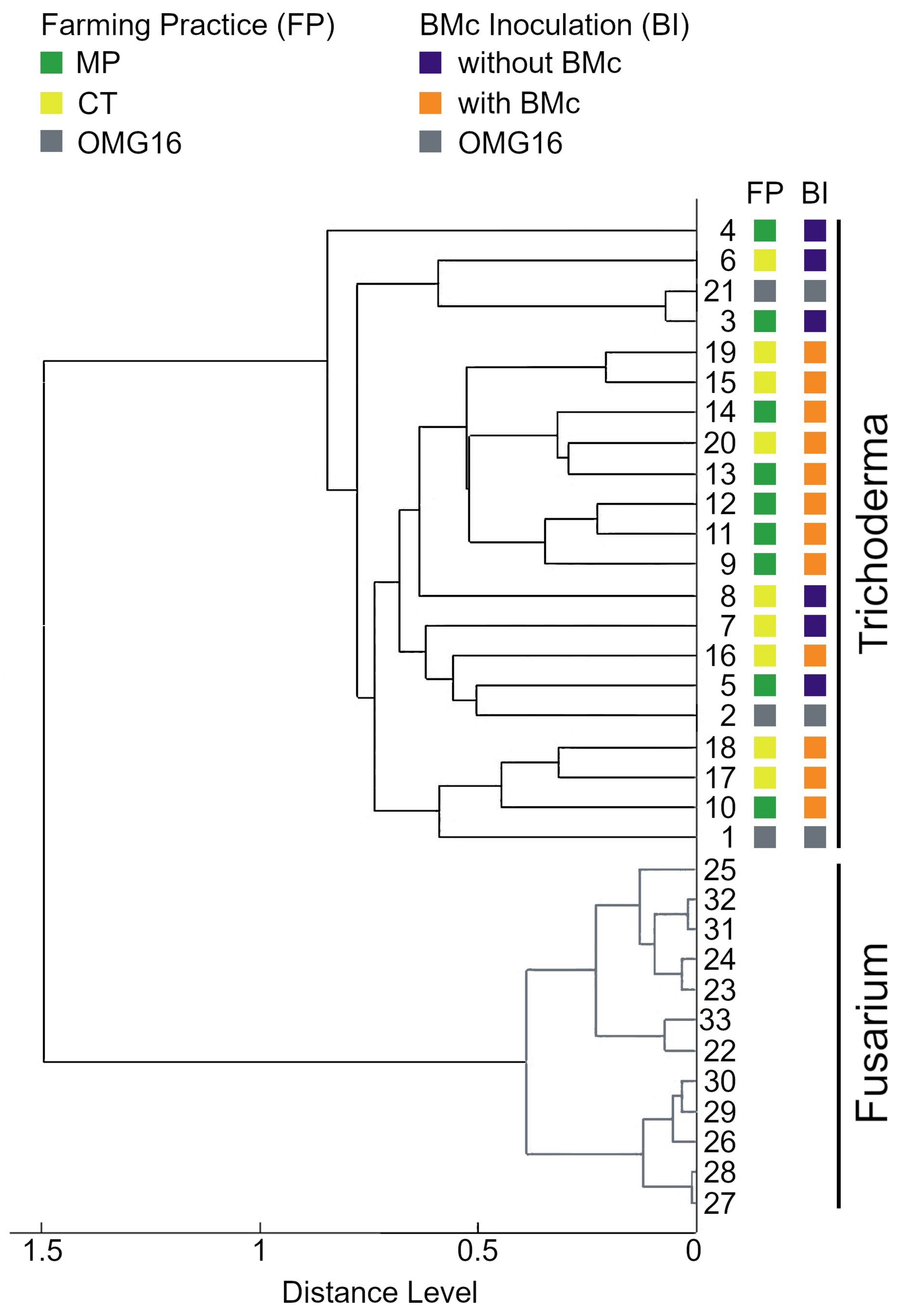 Microorganisms 11 01655 g004 Microorganisms 11 01655 g004