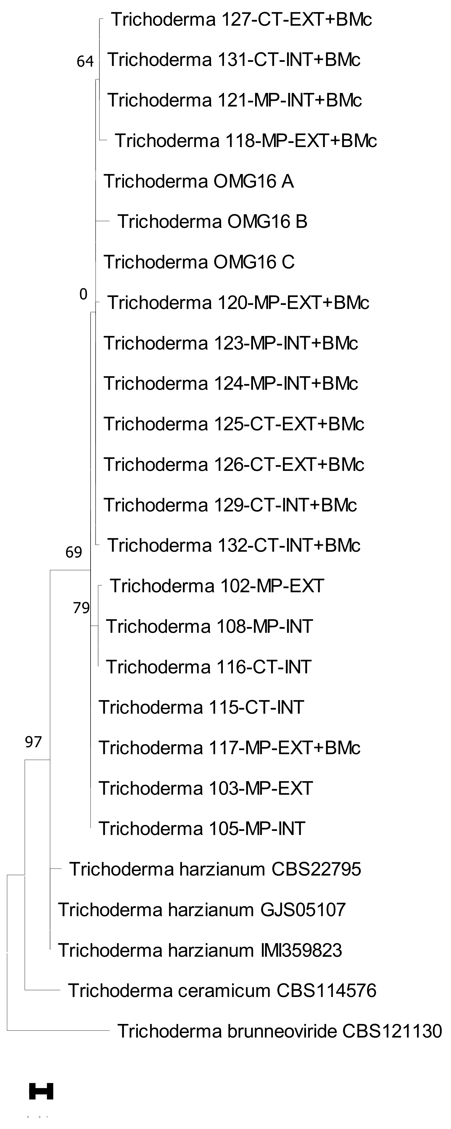 Microorganisms 11 01655 g005 Microorganisms 11 01655 g005