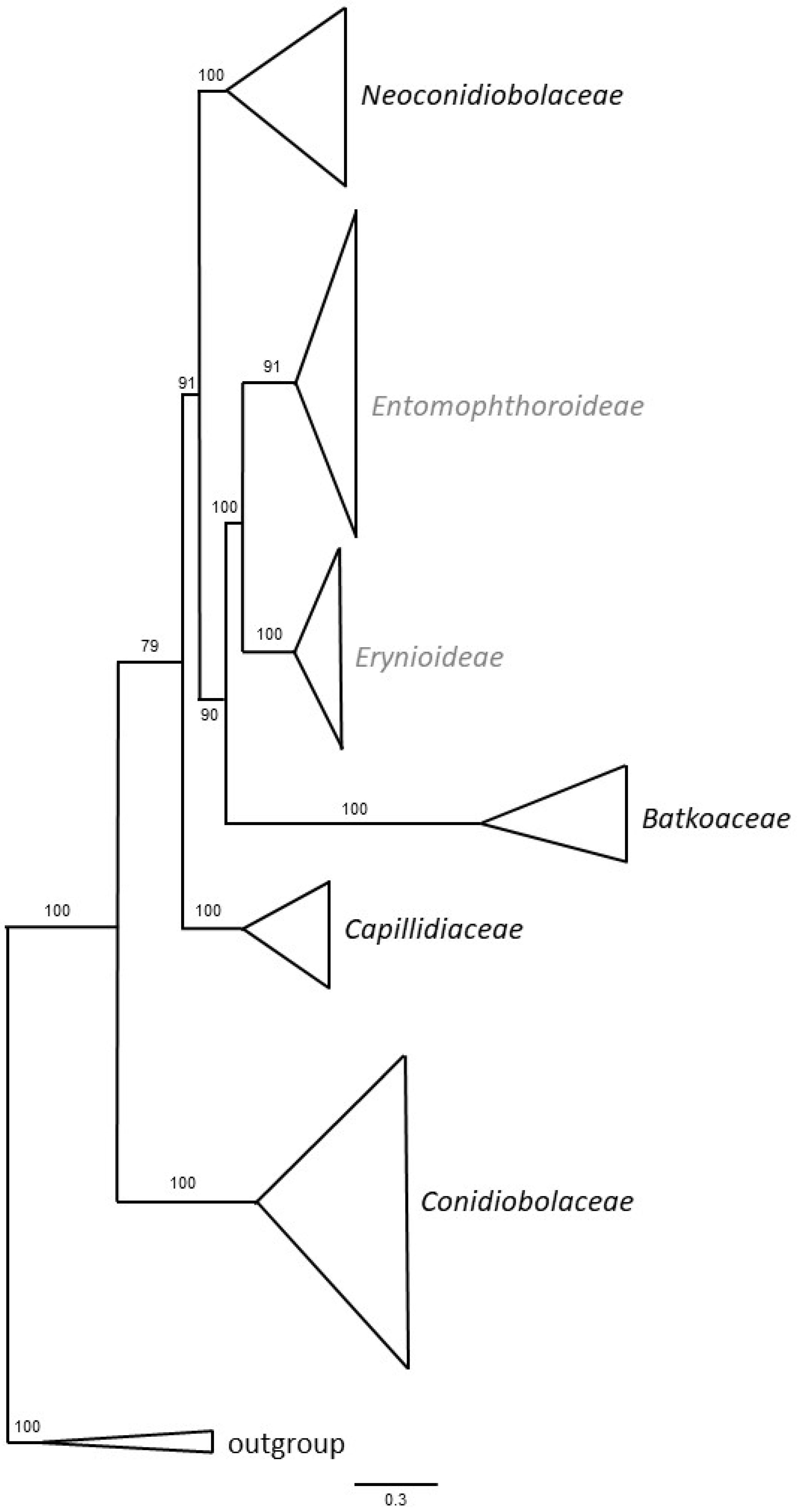 Microorganisms 11 01658 g001