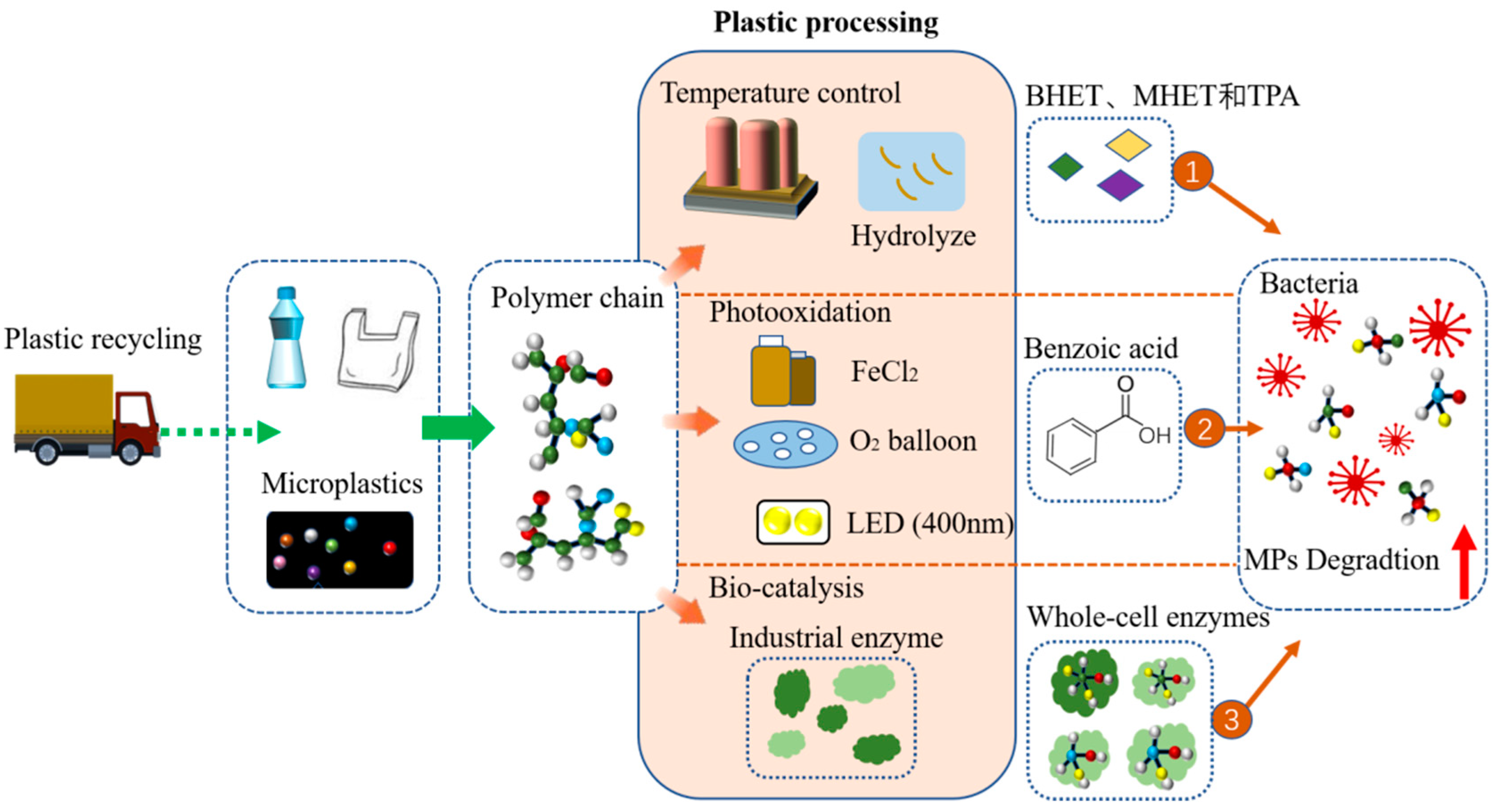 Microorganisms 11 01661 g004 Microorganisms 11 01661 g004