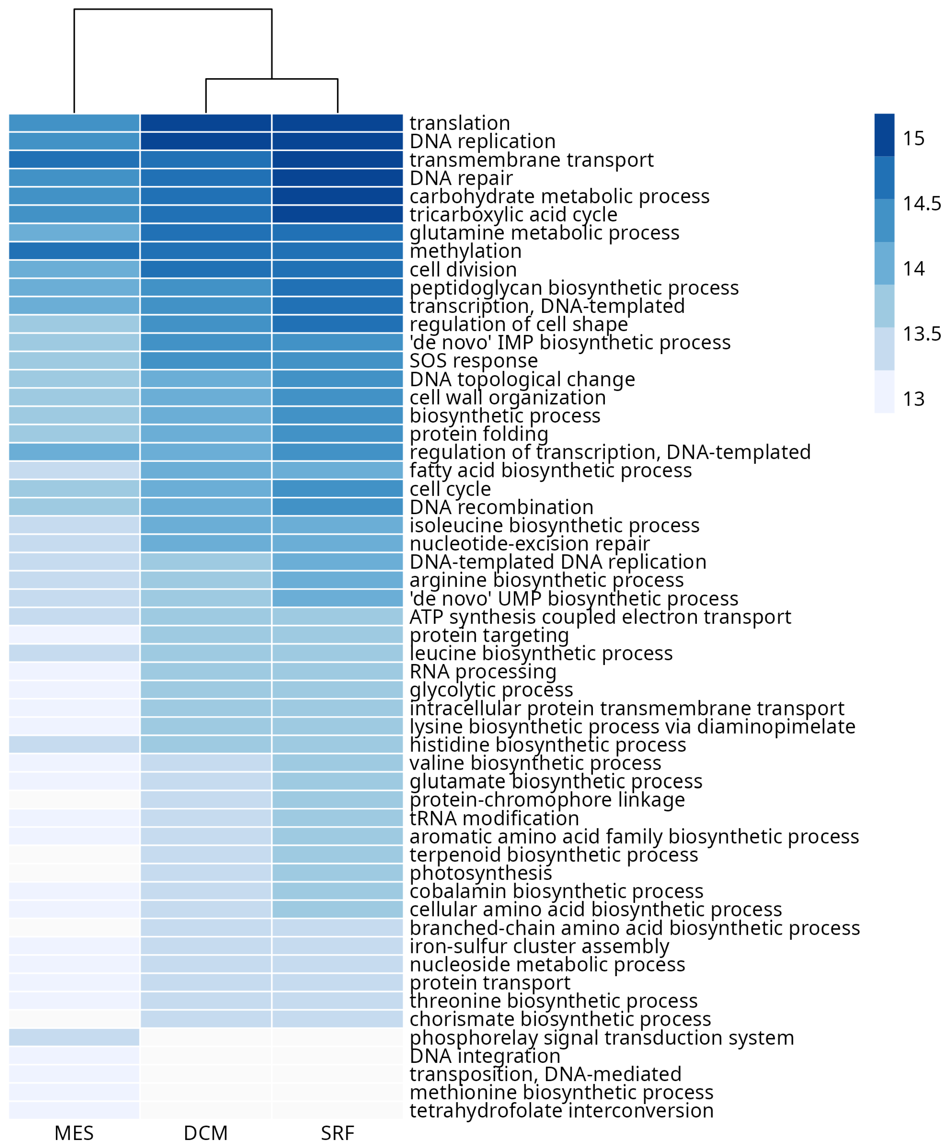 Microorganisms 11 01668 g004 Microorganisms 11 01668 g004
