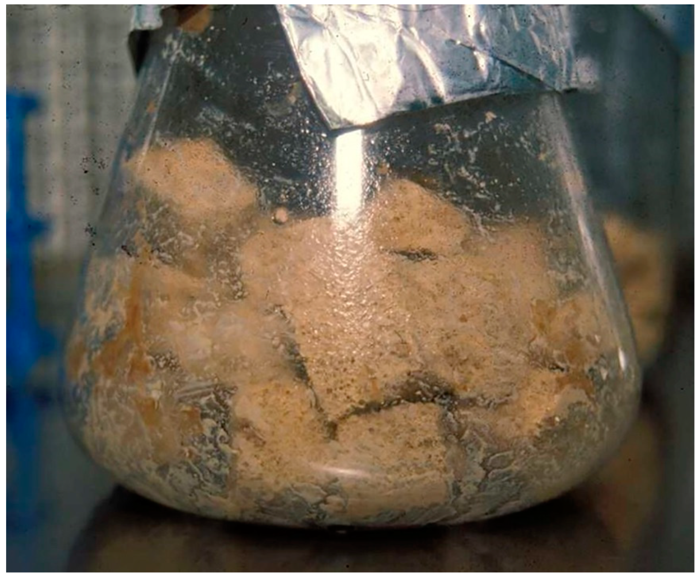 Microorganisms 11 01682 g001 Microorganisms 11 01682 g001