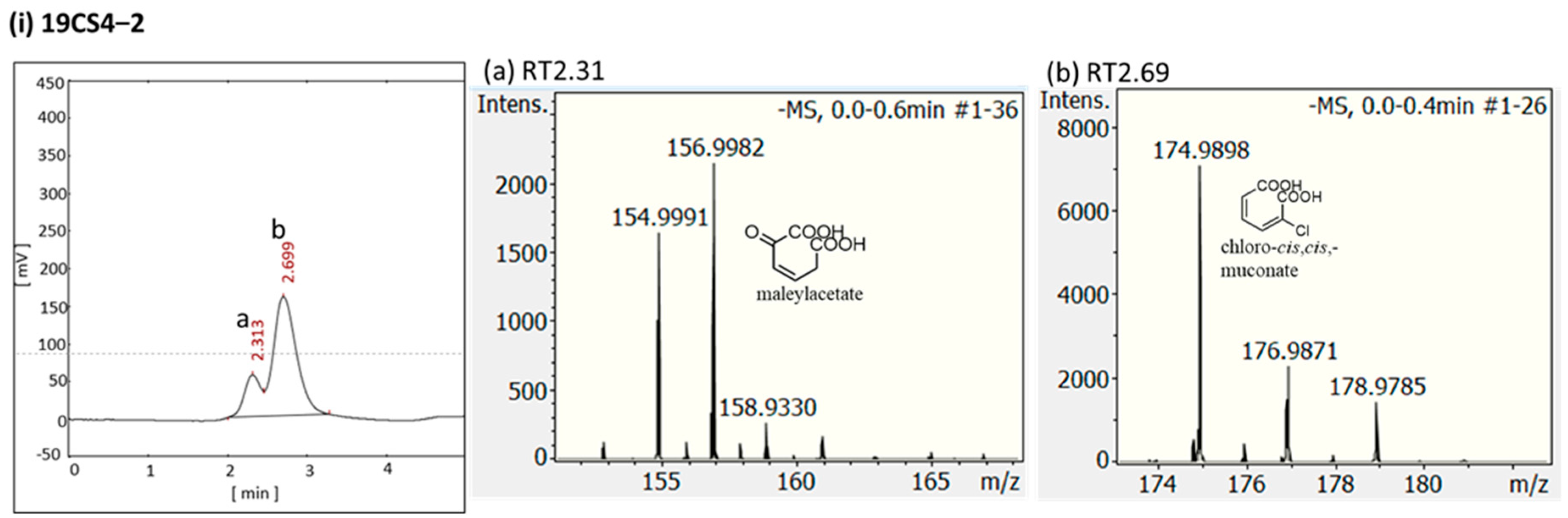 Microorganisms 11 01684 g003a