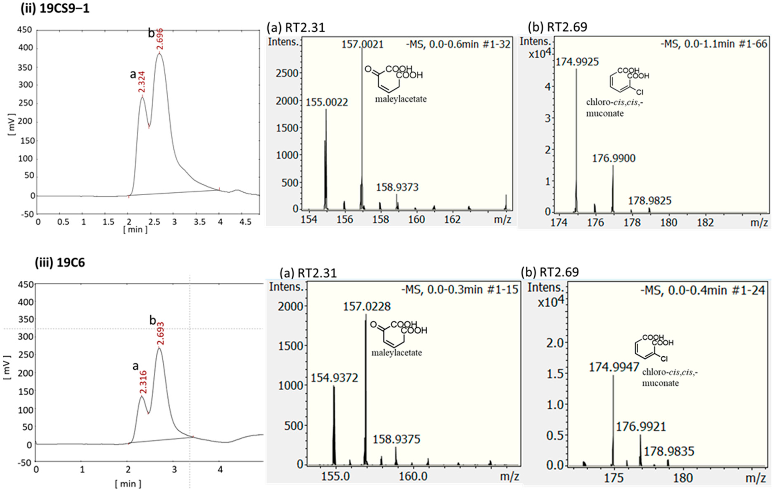 Microorganisms 11 01684 g003b