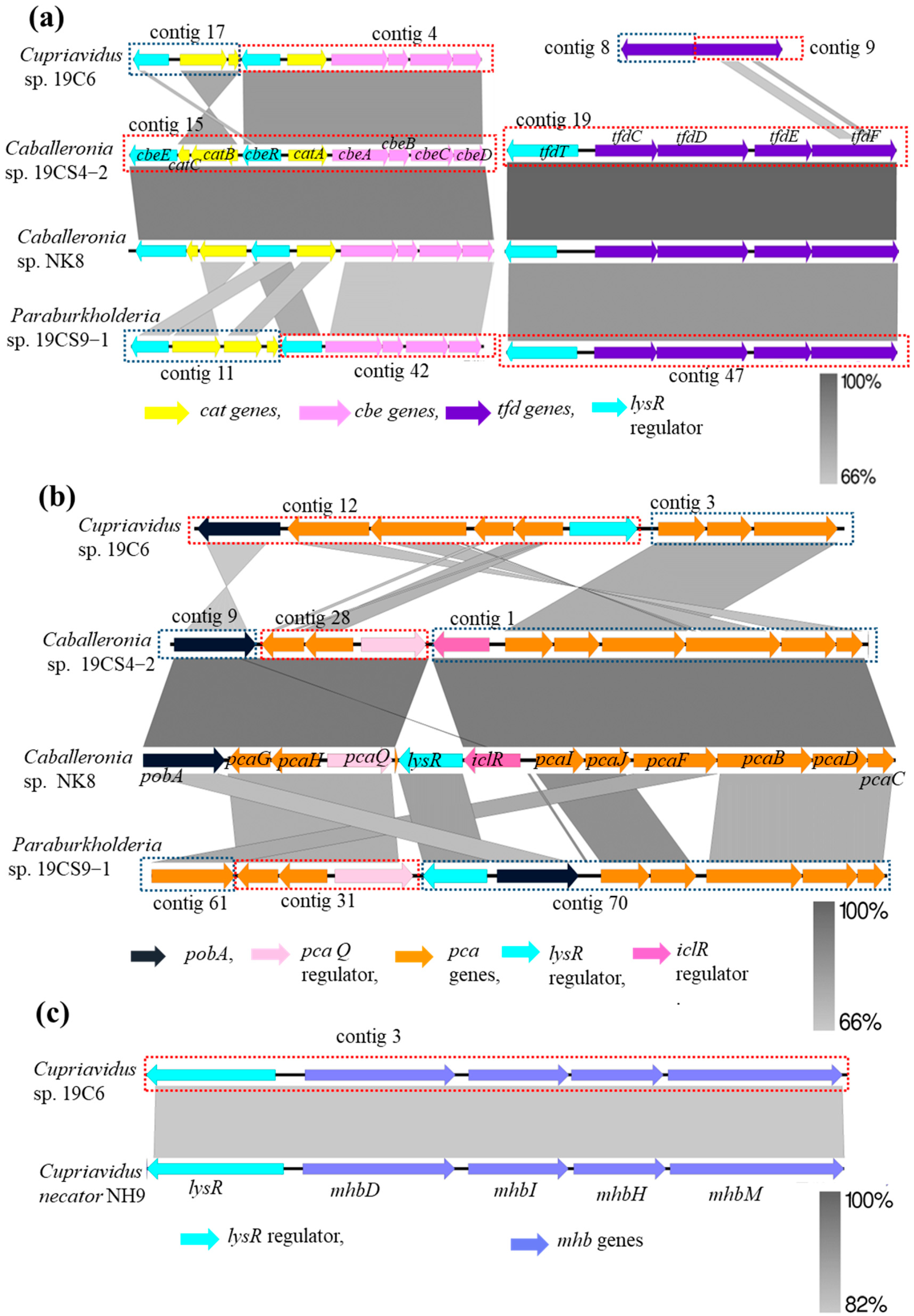 Microorganisms 11 01684 g005