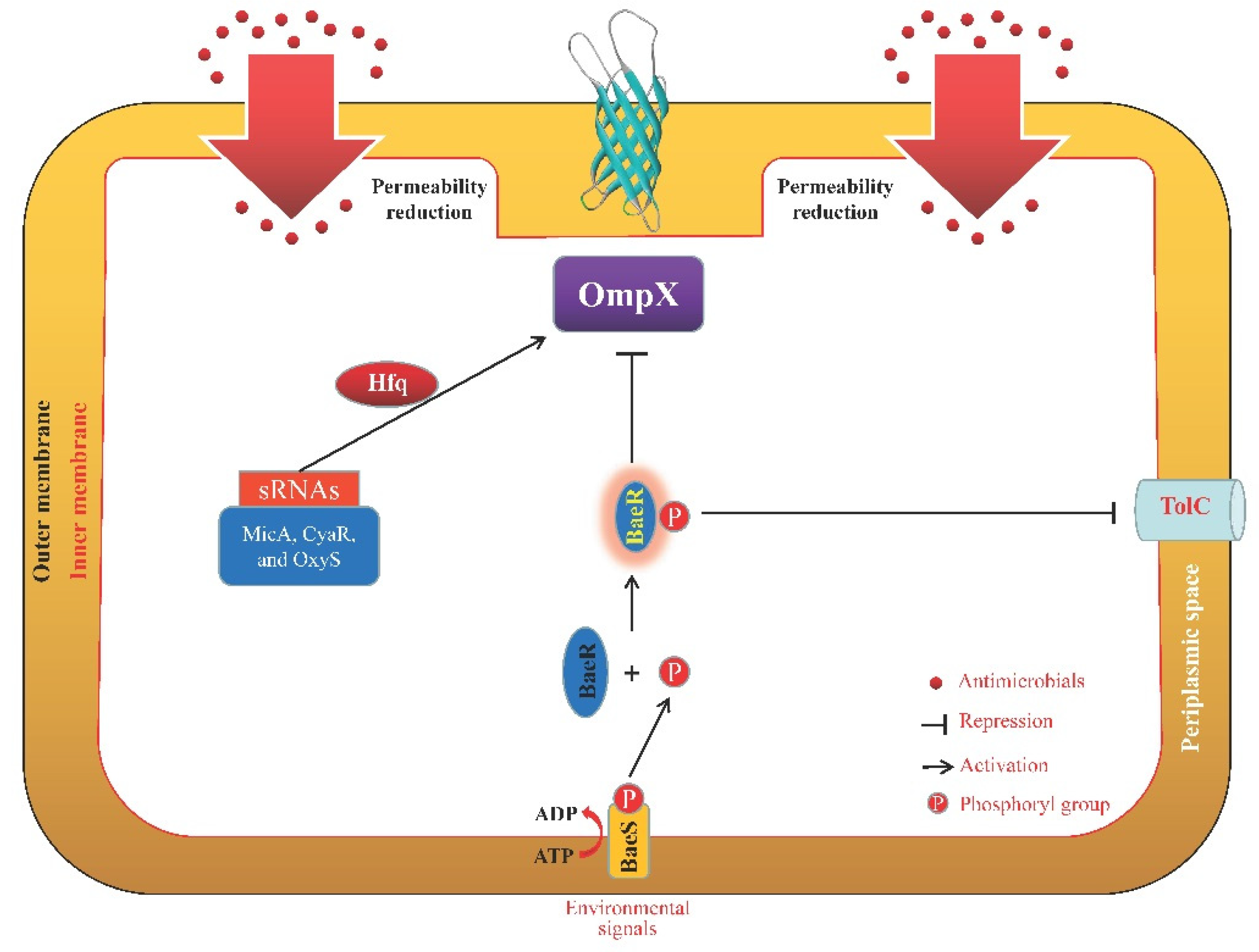 Microorganisms 11 01690 g005 Microorganisms 11 01690 g005