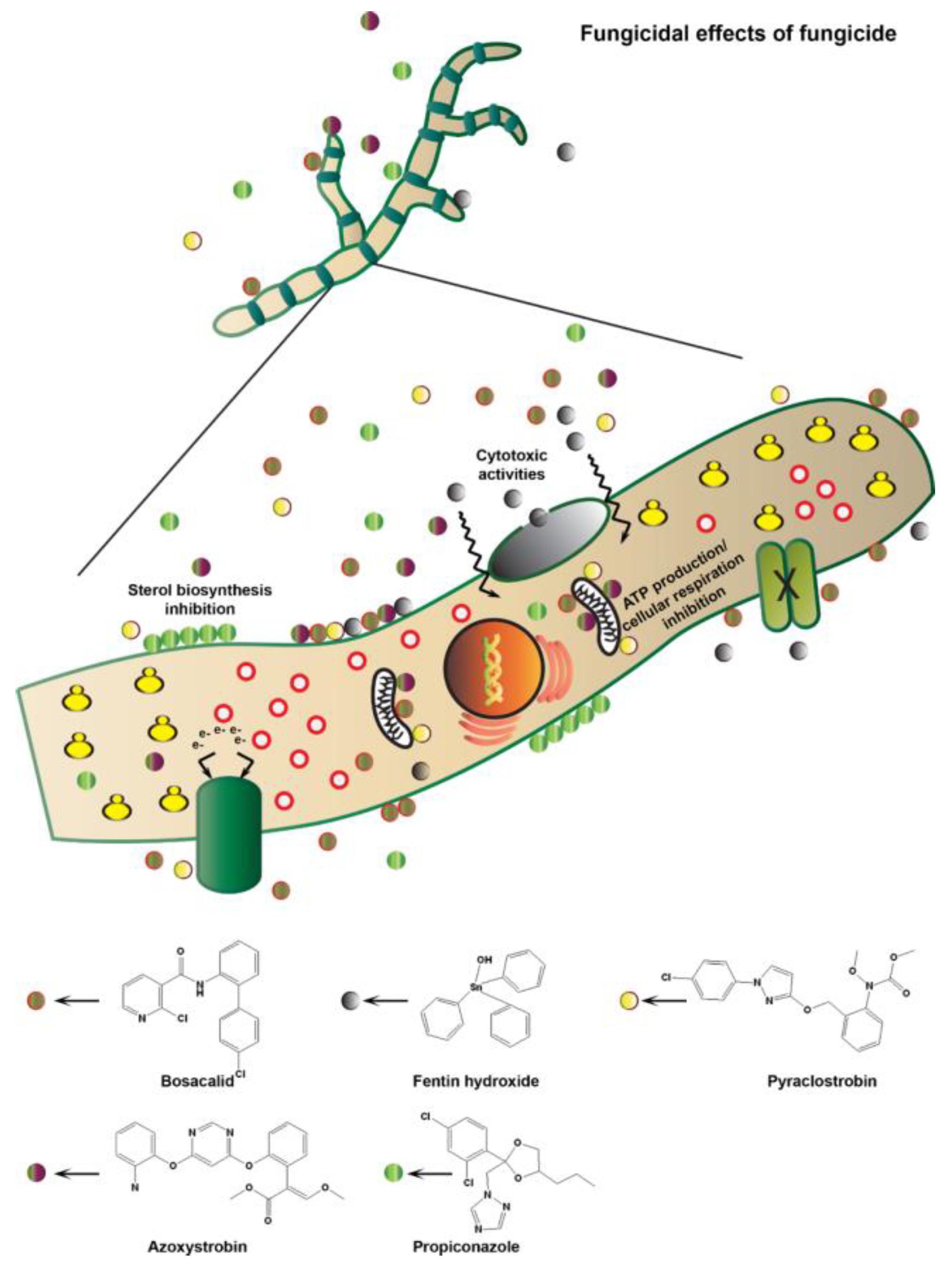 Microorganisms 11 01691 g001 Microorganisms 11 01691 g001