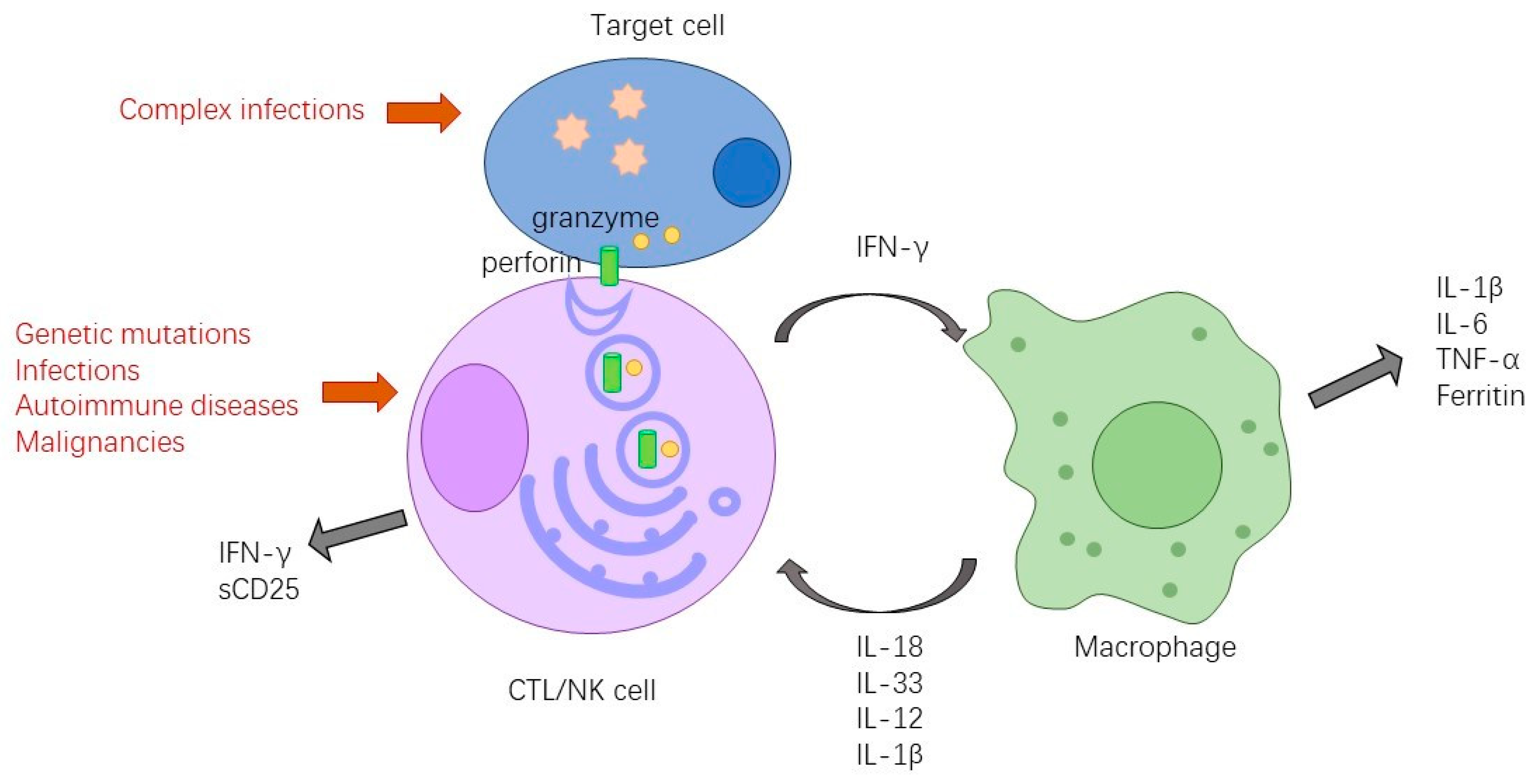 Microorganisms 11 01694 g001 Microorganisms 11 01694 g001
