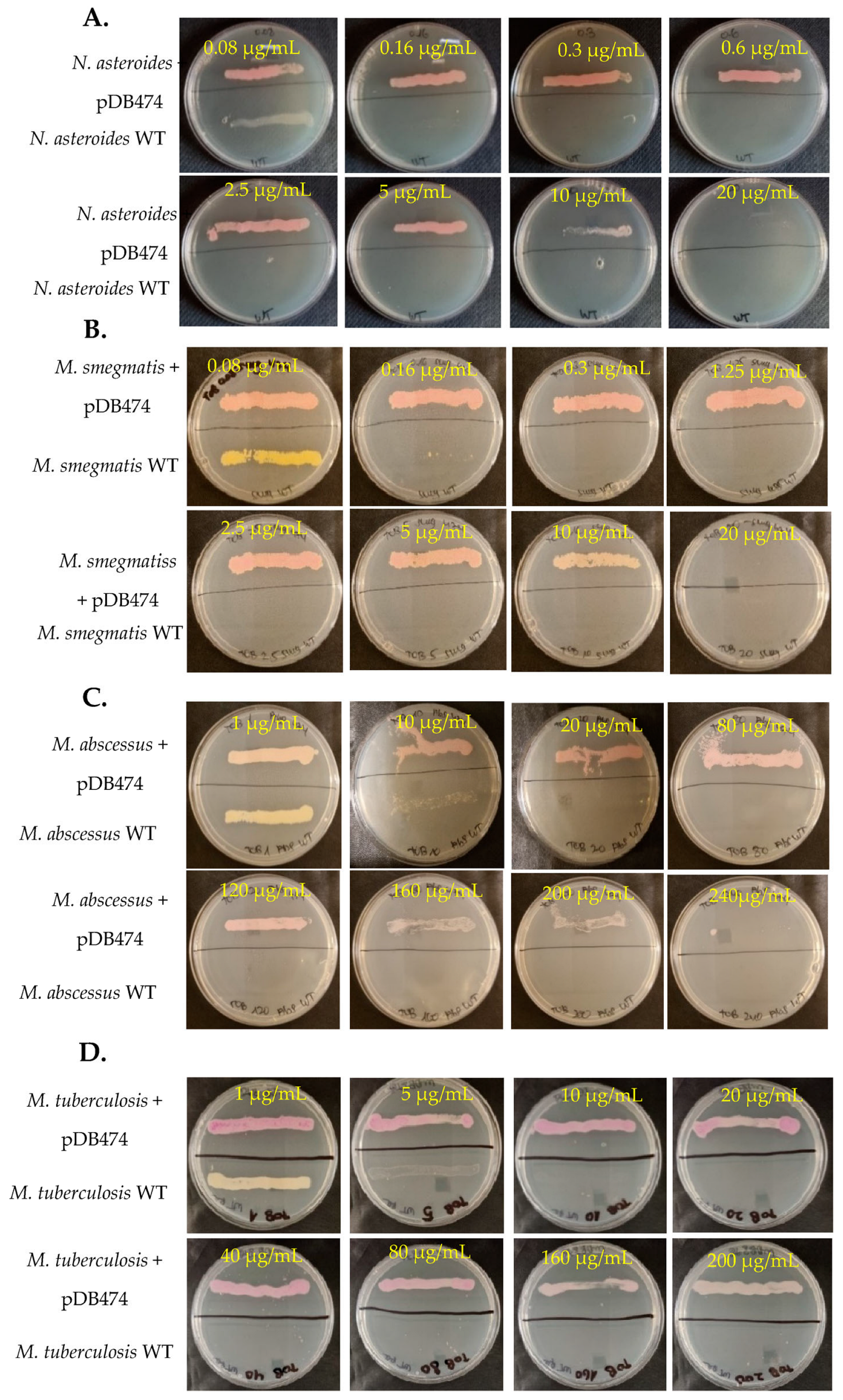 Microorganisms 11 01697 g001 Microorganisms 11 01697 g001