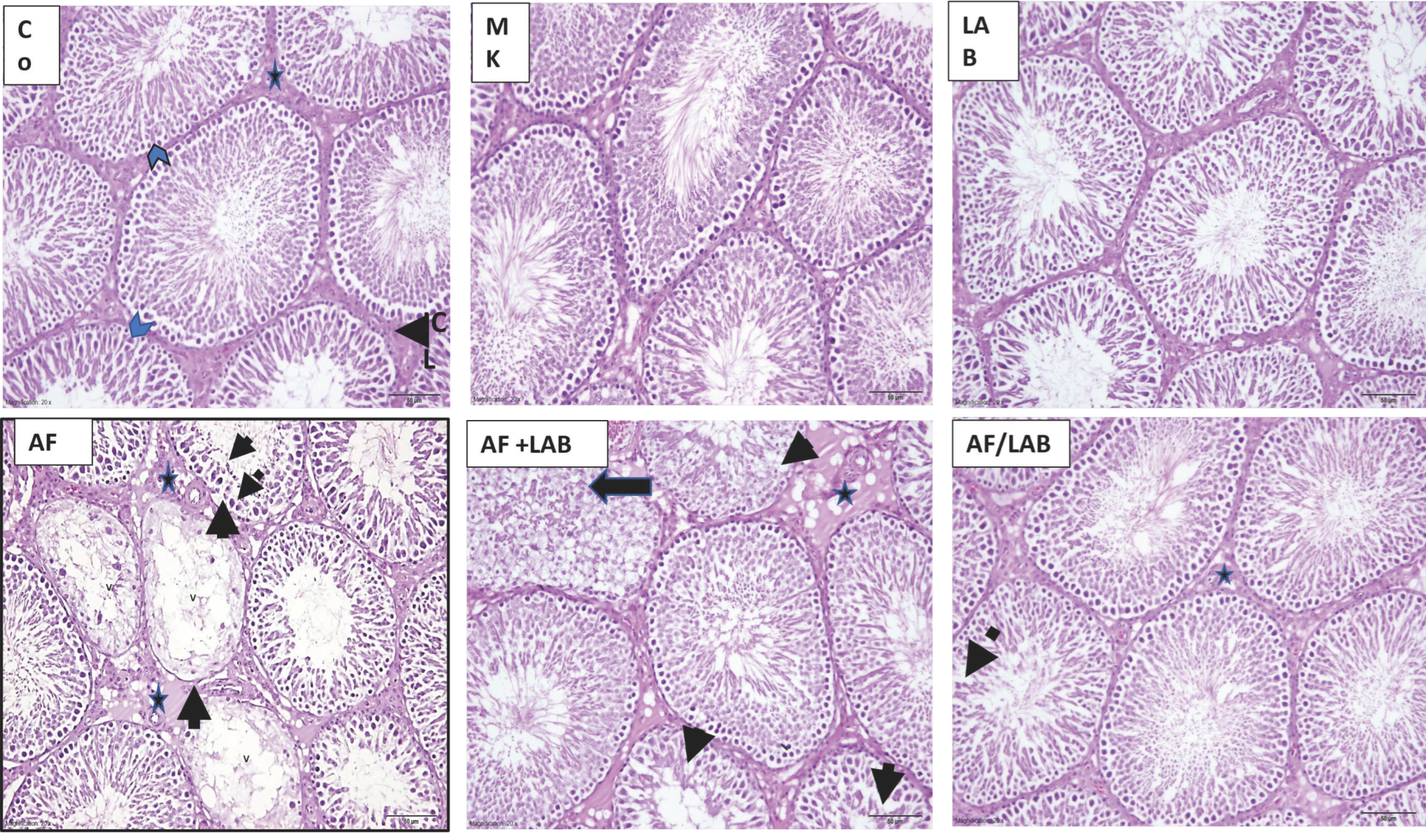 Microorganisms 11 01703 g002