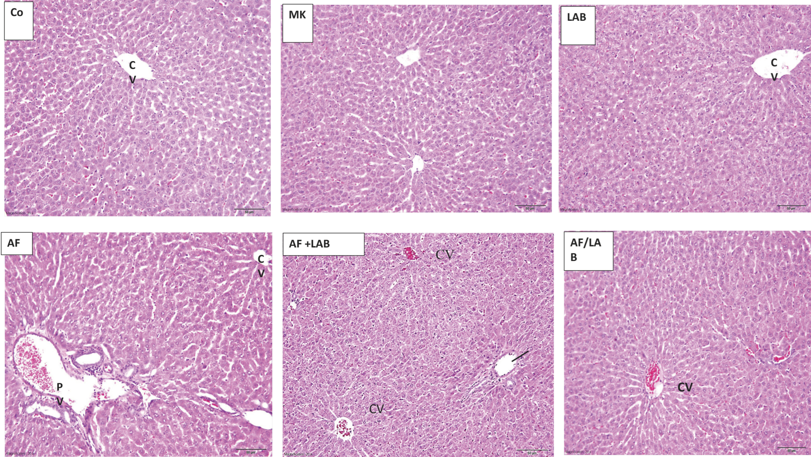 Microorganisms 11 01703 g003