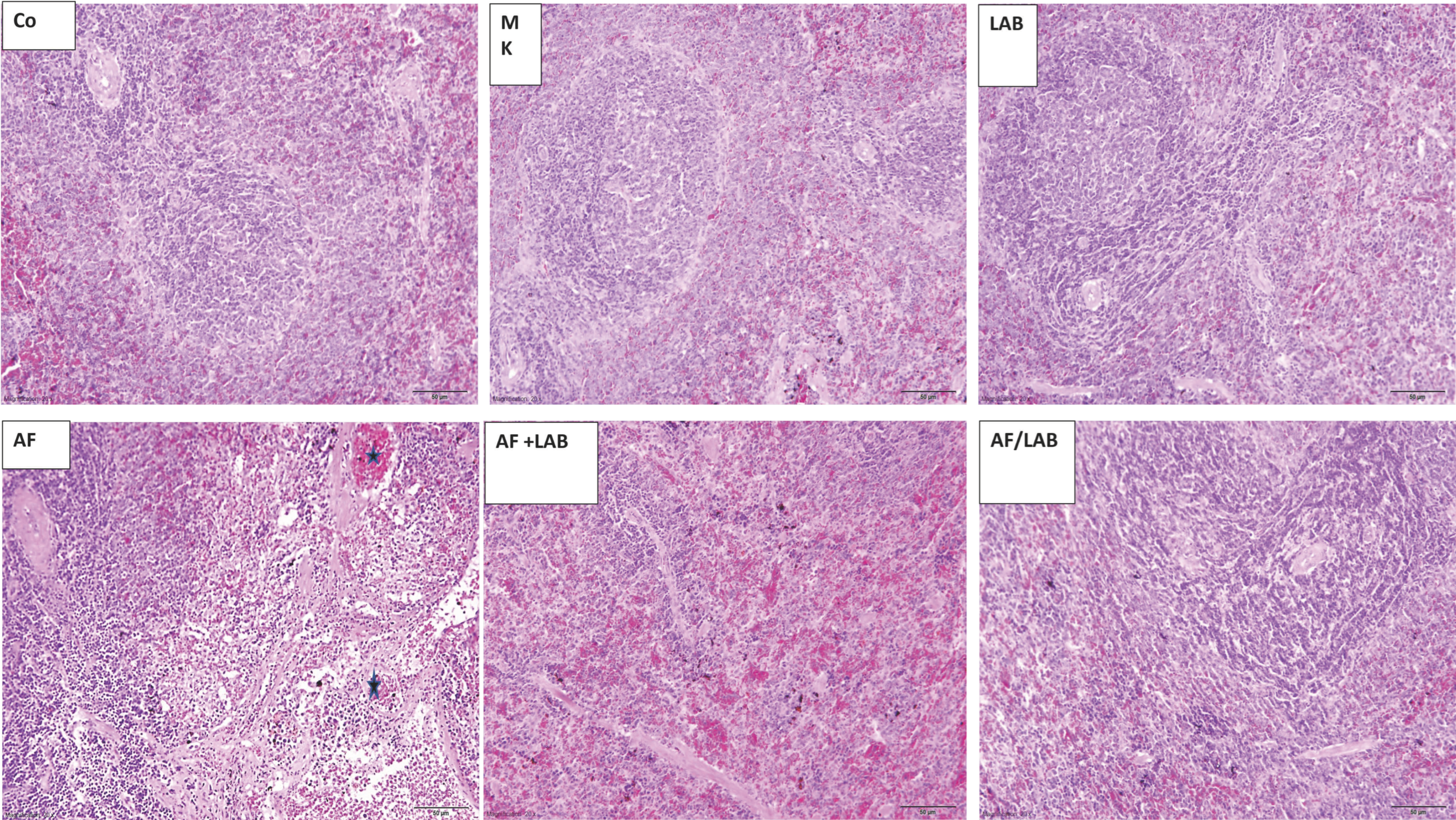 Microorganisms 11 01703 g004
