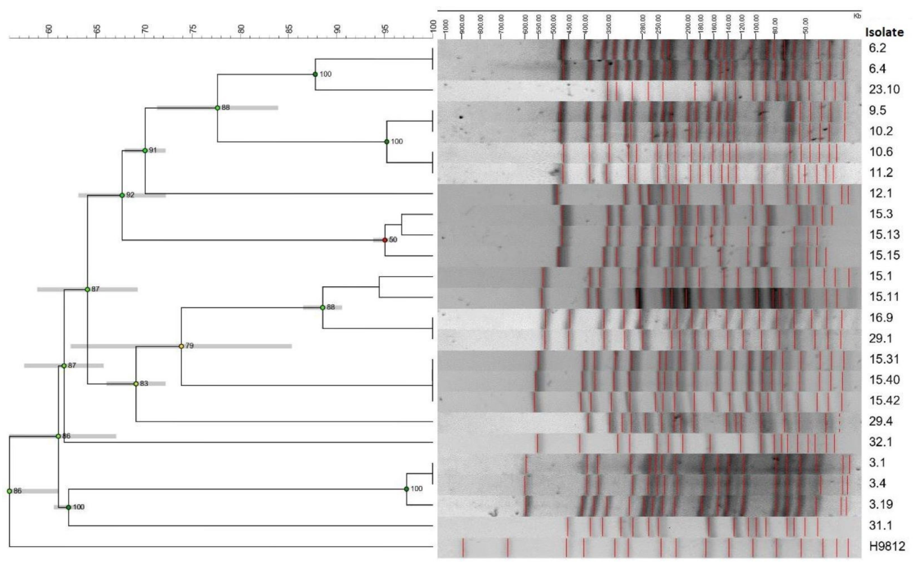 Microorganisms 11 01704 g003