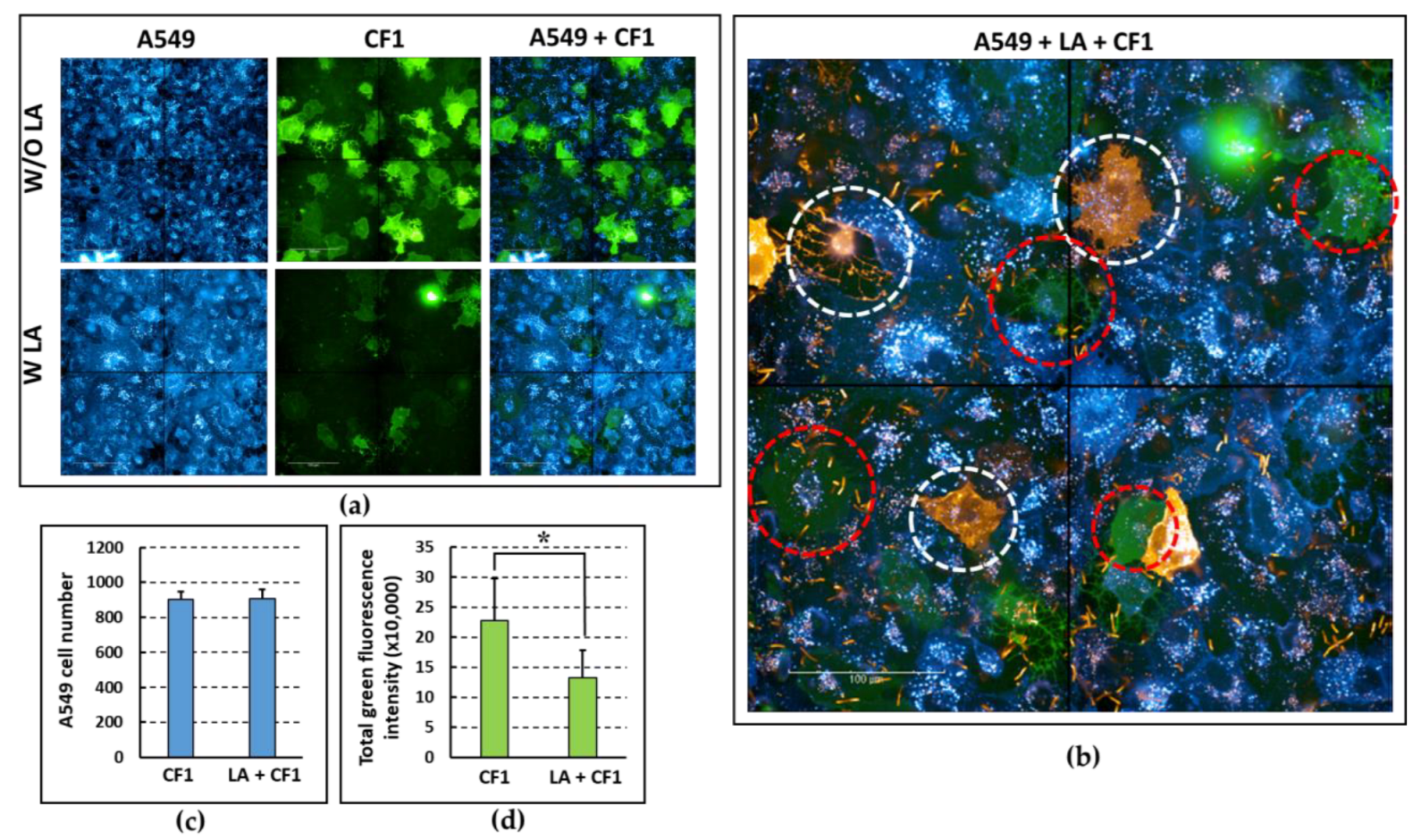 Microorganisms 11 01707 g004