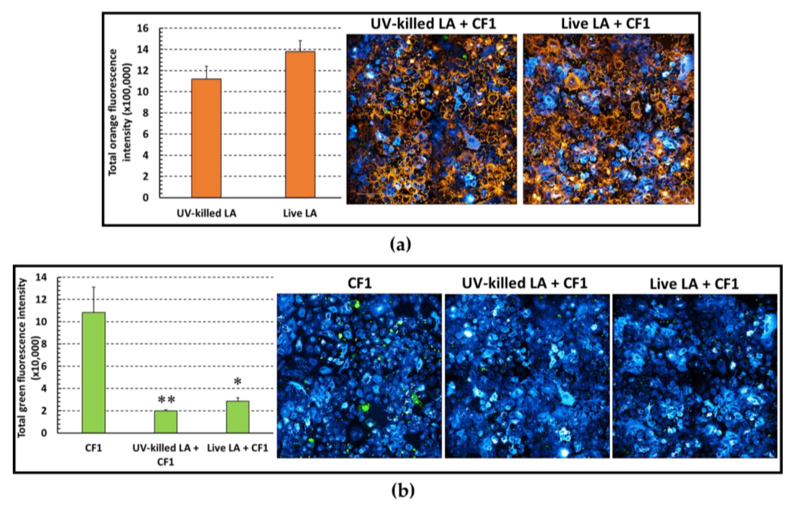 Microorganisms 11 01707 g006