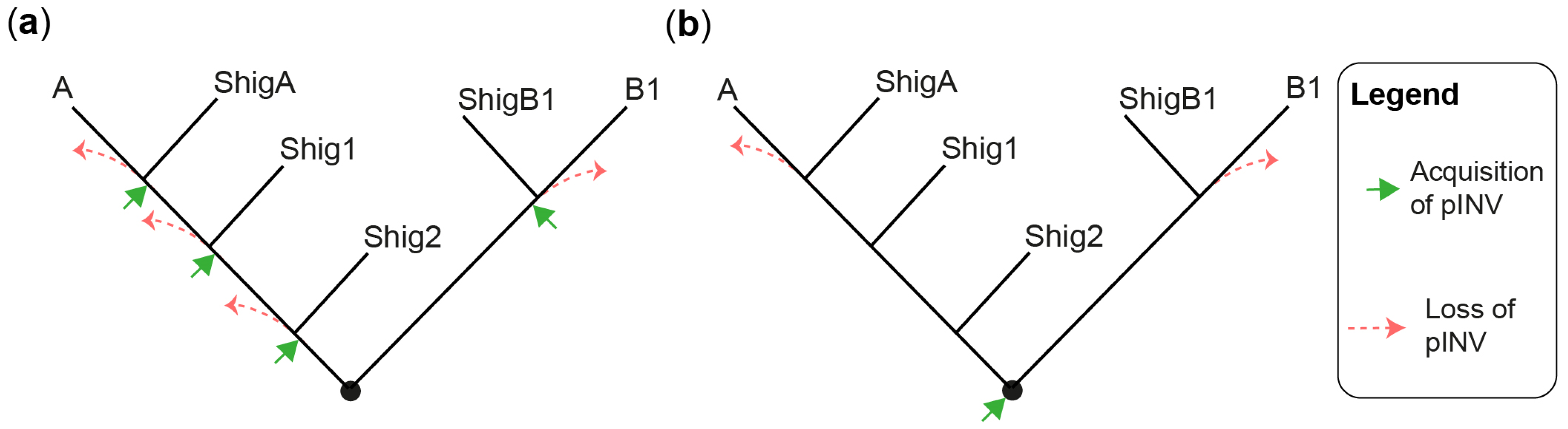 Microorganisms 11 01709 g001 Microorganisms 11 01709 g001
