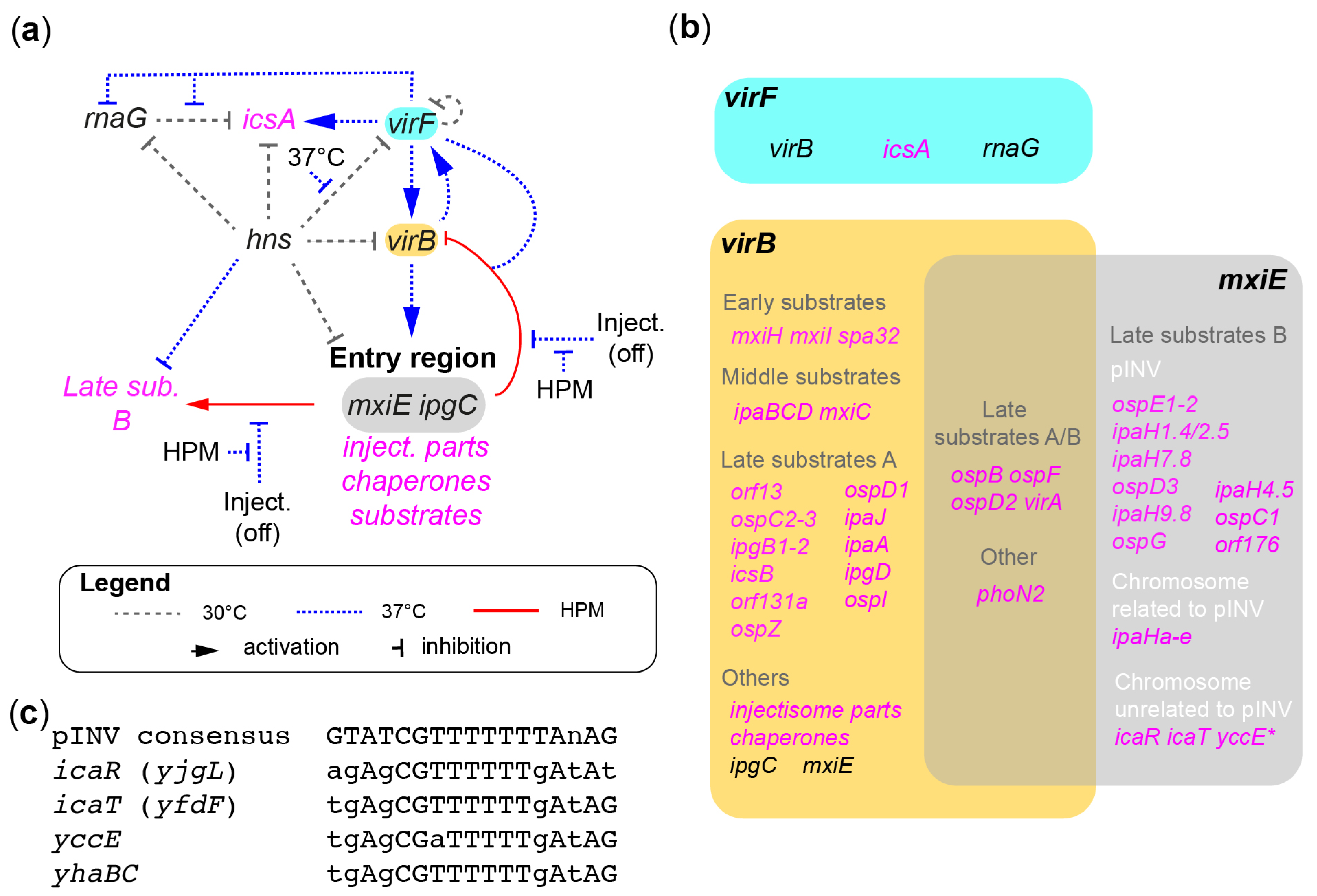 Microorganisms 11 01709 g003 Microorganisms 11 01709 g003
