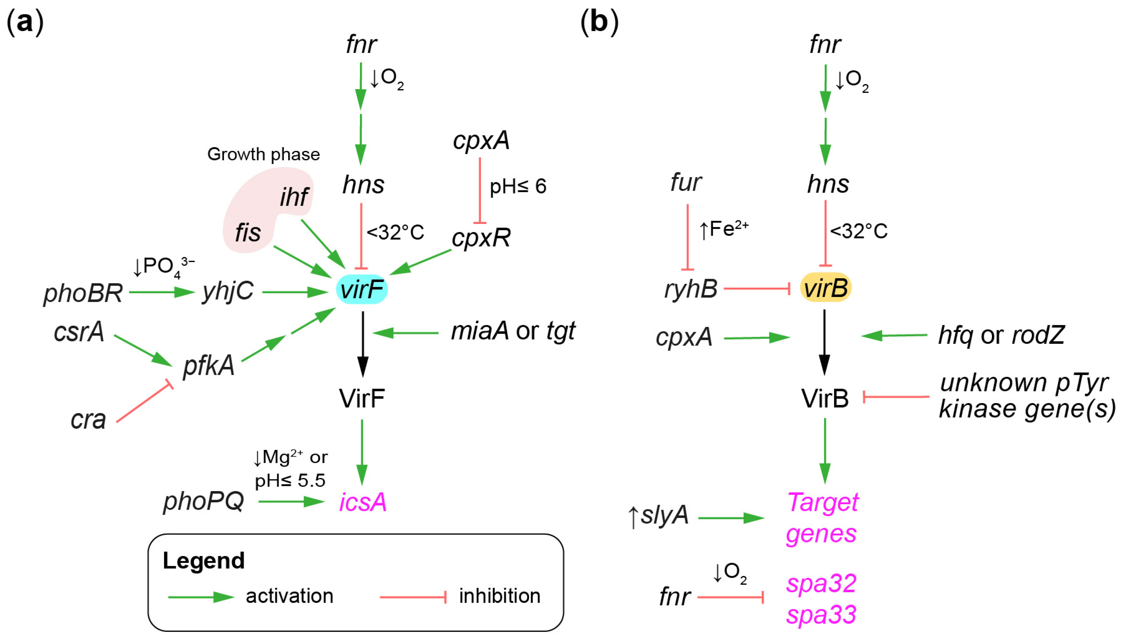 Microorganisms 11 01709 g004 Microorganisms 11 01709 g004