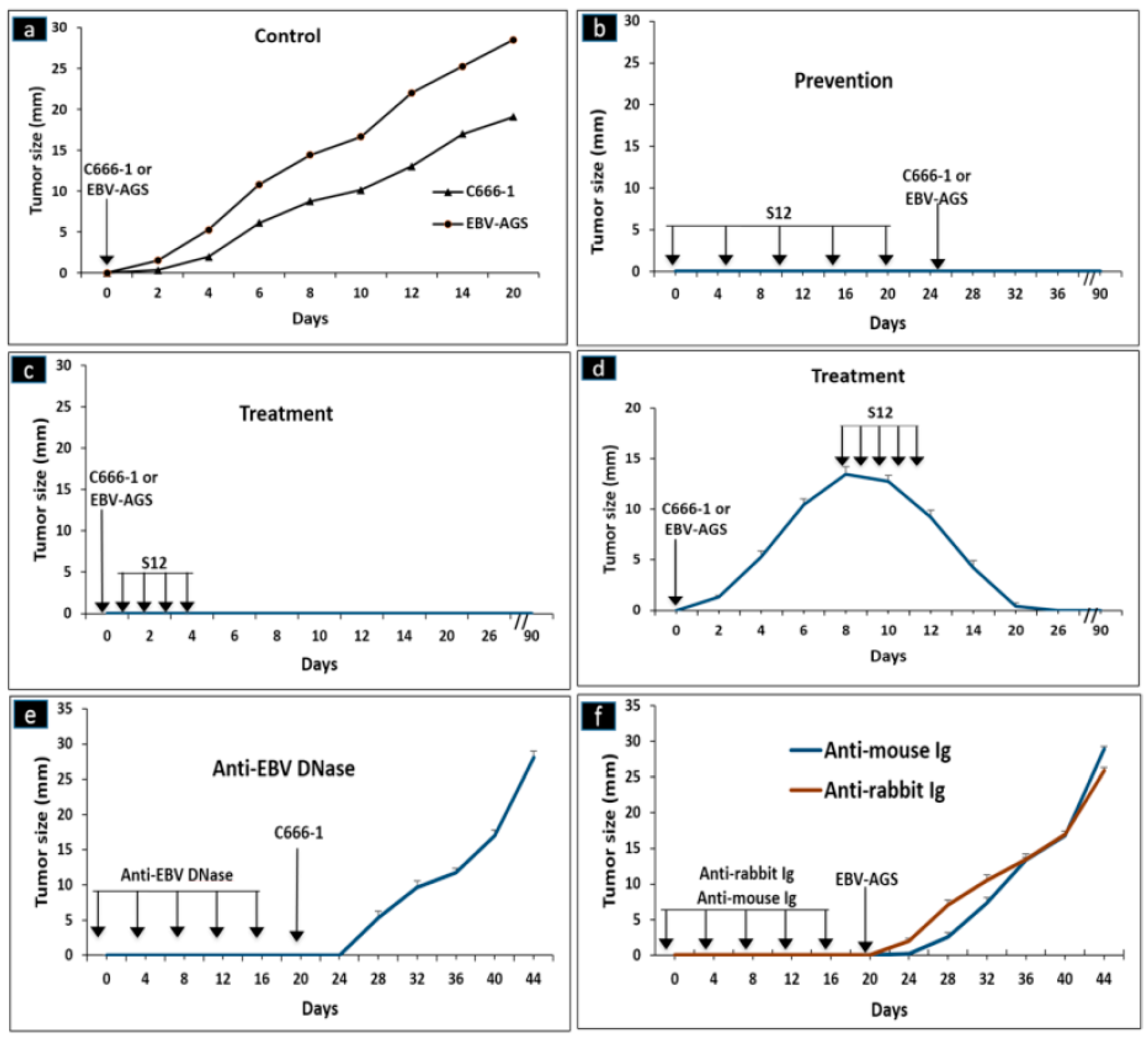 Microorganisms 11 01712 g001 Microorganisms 11 01712 g001