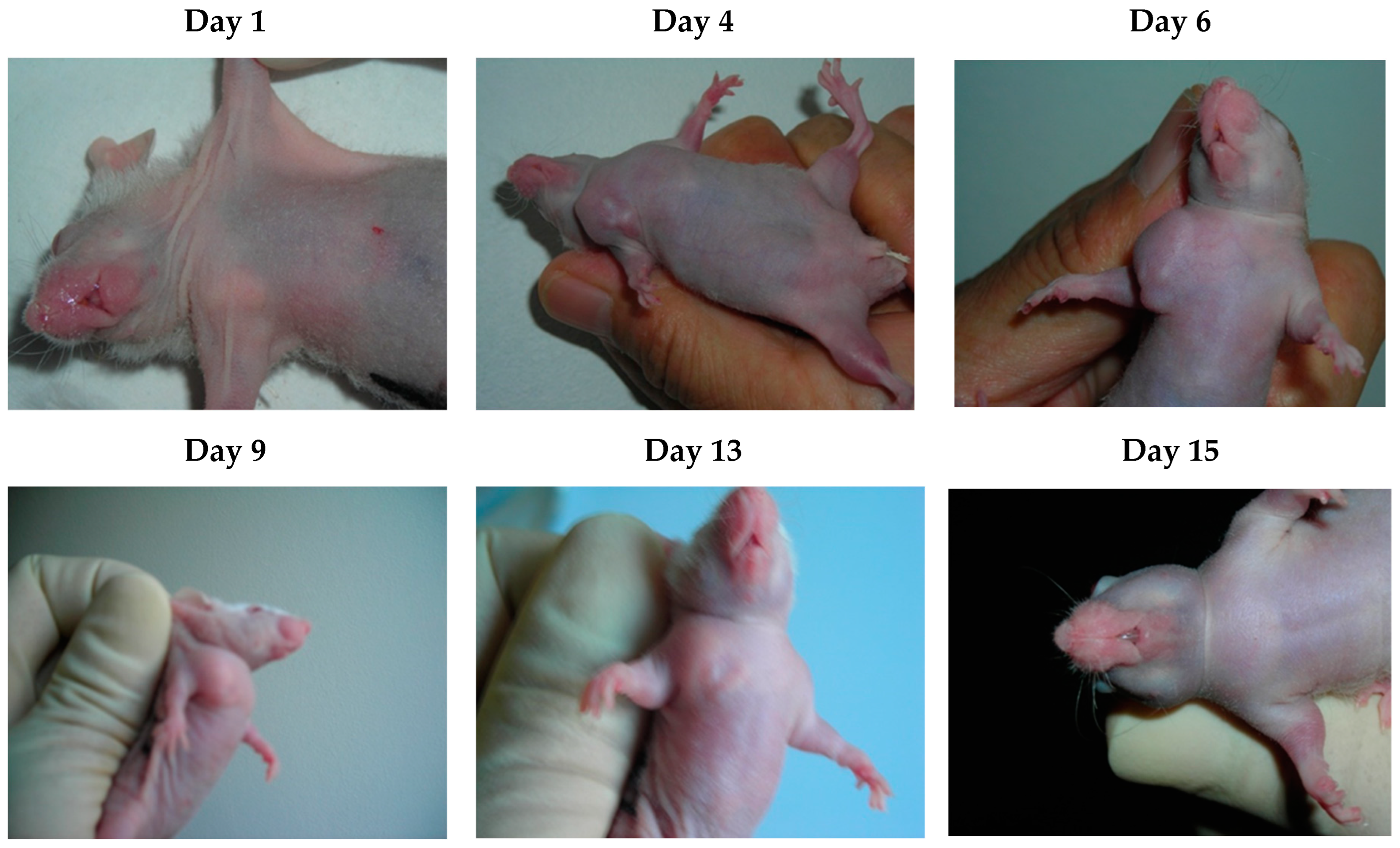 Microorganisms 11 01712 g003 Microorganisms 11 01712 g003