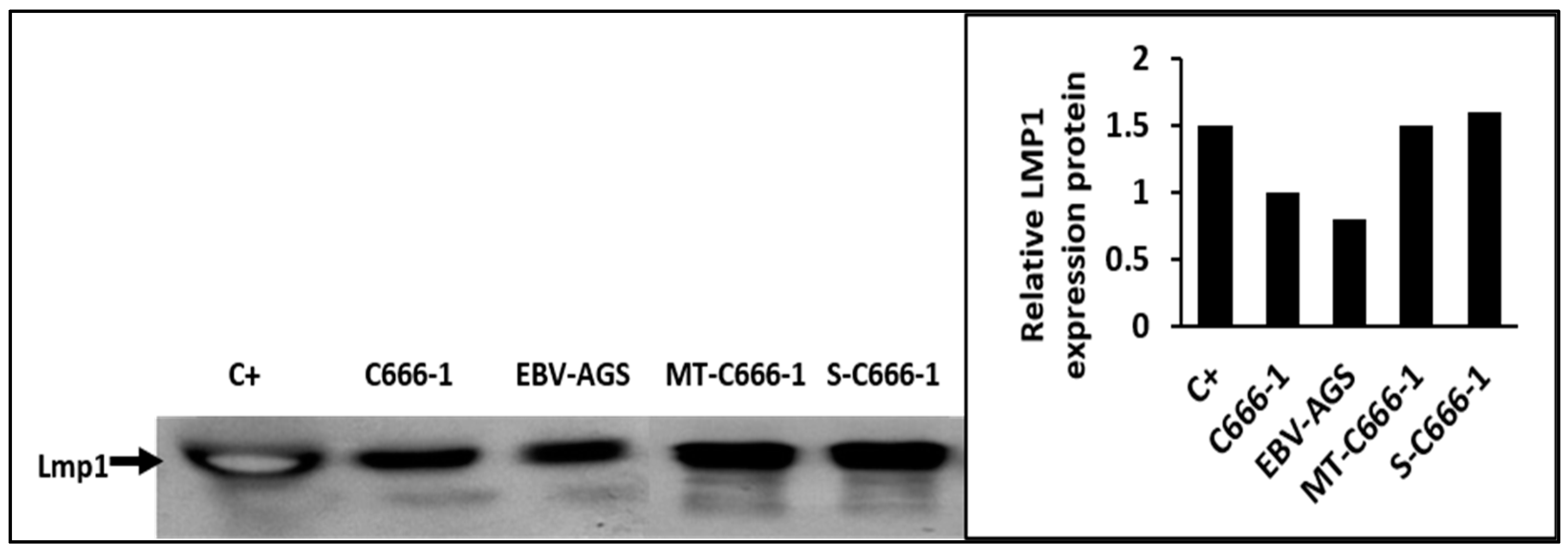 Microorganisms 11 01712 g004 Microorganisms 11 01712 g004