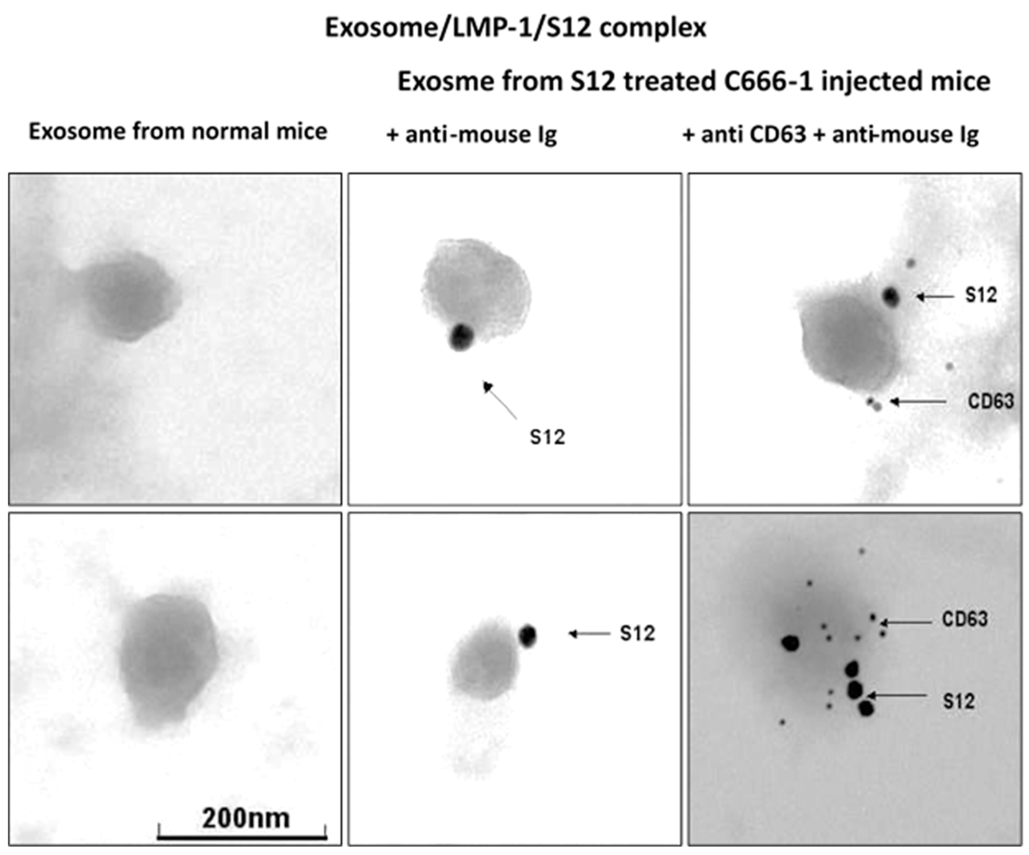 Microorganisms 11 01712 g005 Microorganisms 11 01712 g005