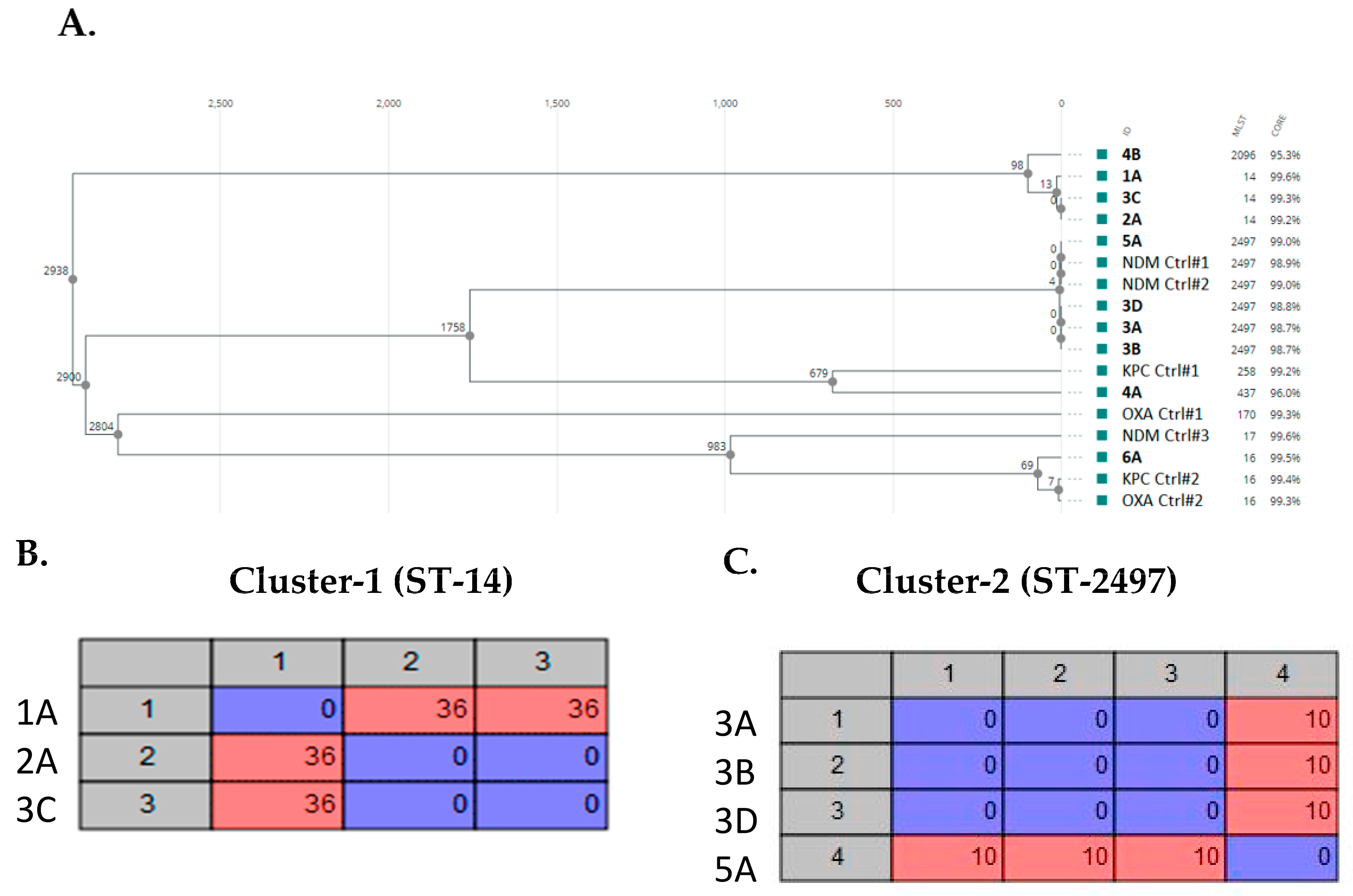 Microorganisms 11 01717 g001 Microorganisms 11 01717 g001