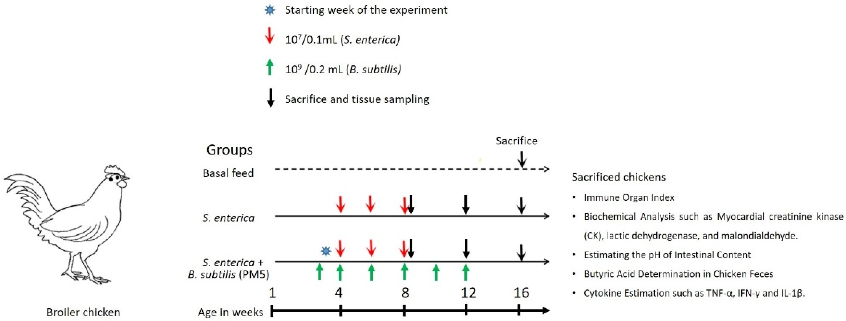 Microorganisms 11 01719 g001 Microorganisms 11 01719 g001