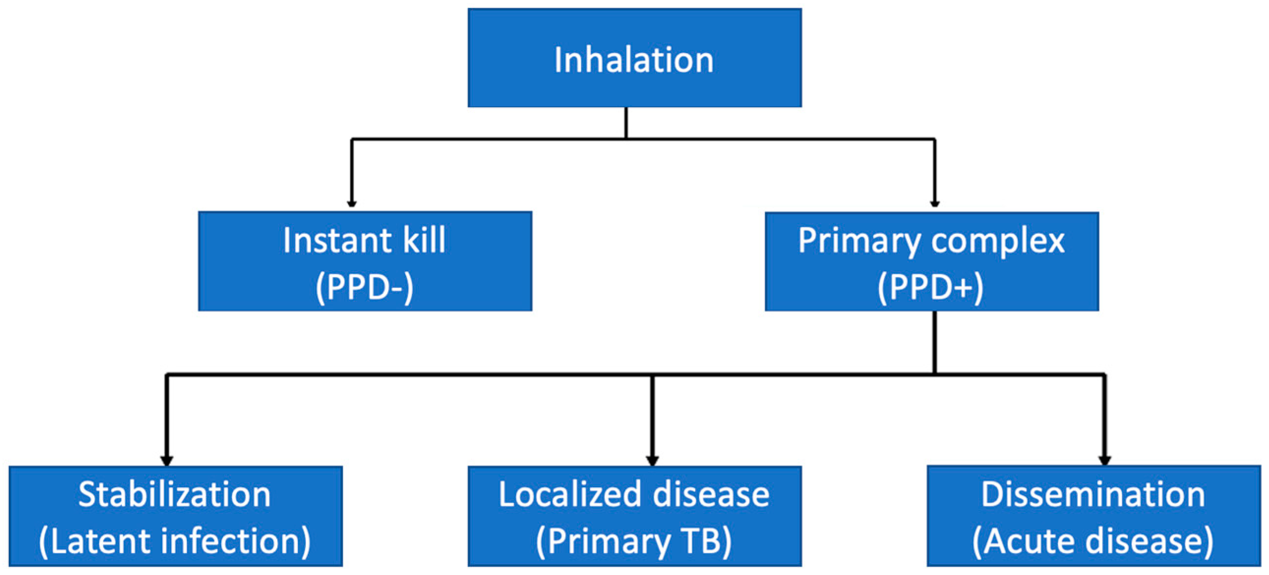 microorganisms-free-full-text-pulmonary-tuberculosis-in-children-a