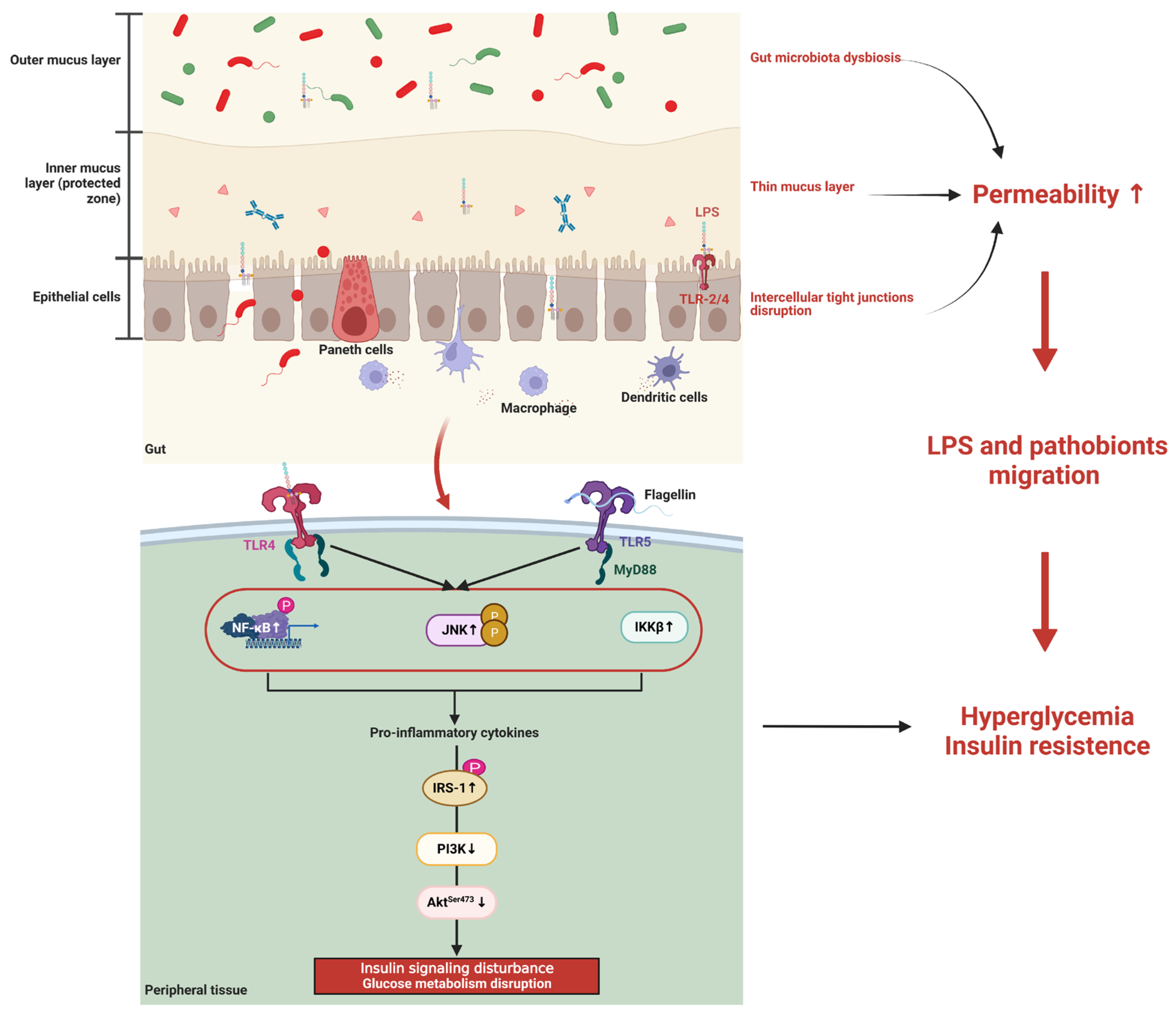 Microorganisms 11 01725 g001 Microorganisms 11 01725 g001