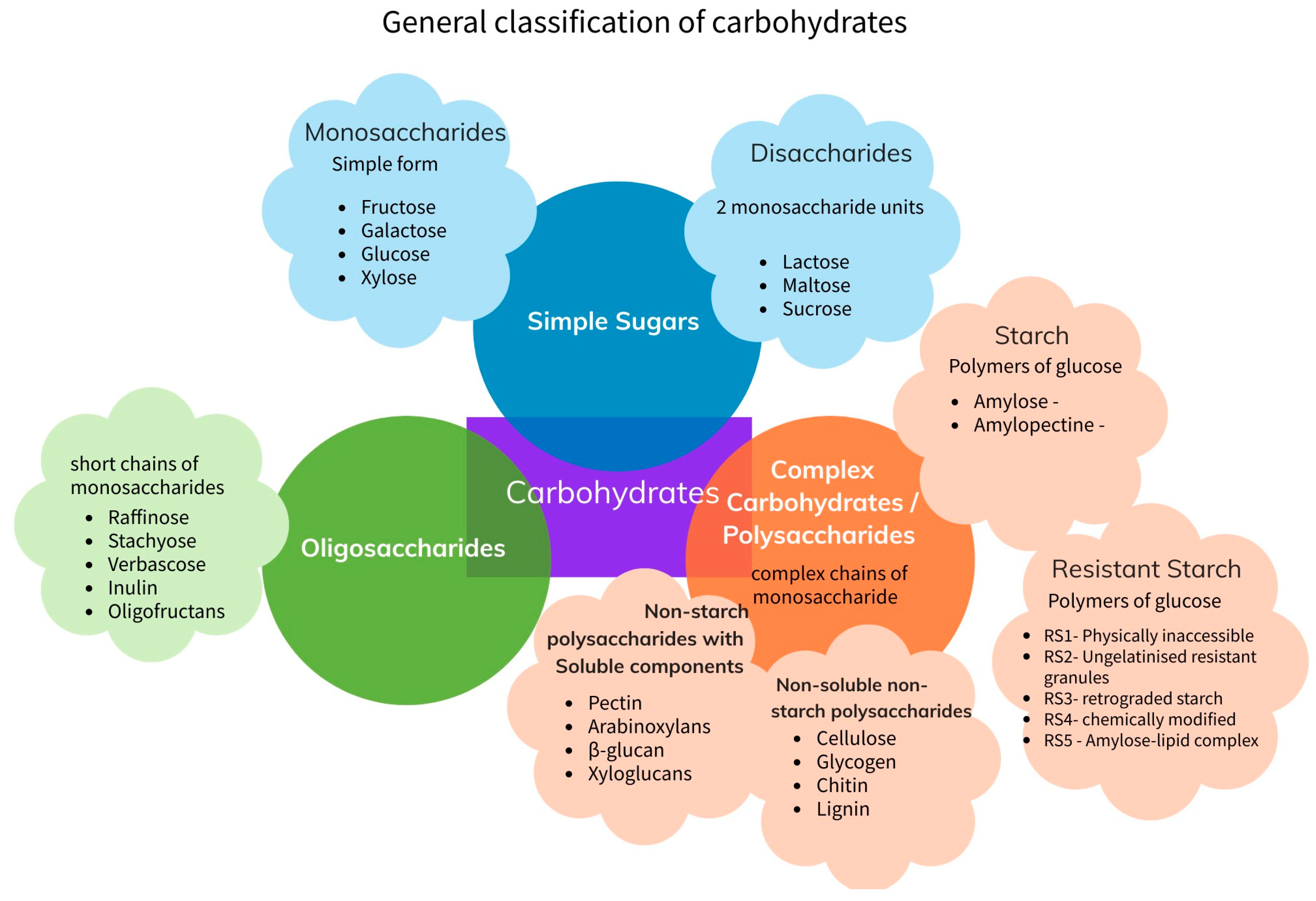 Microorganisms 11 01728 g001 Microorganisms 11 01728 g001