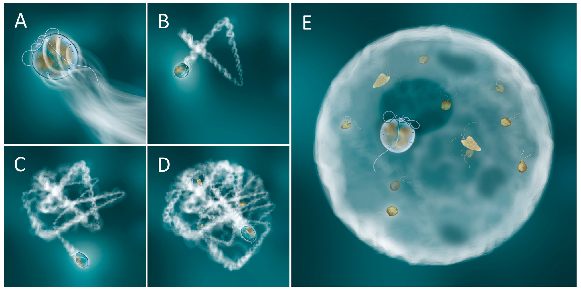 Microorganisms 11 01730 g007