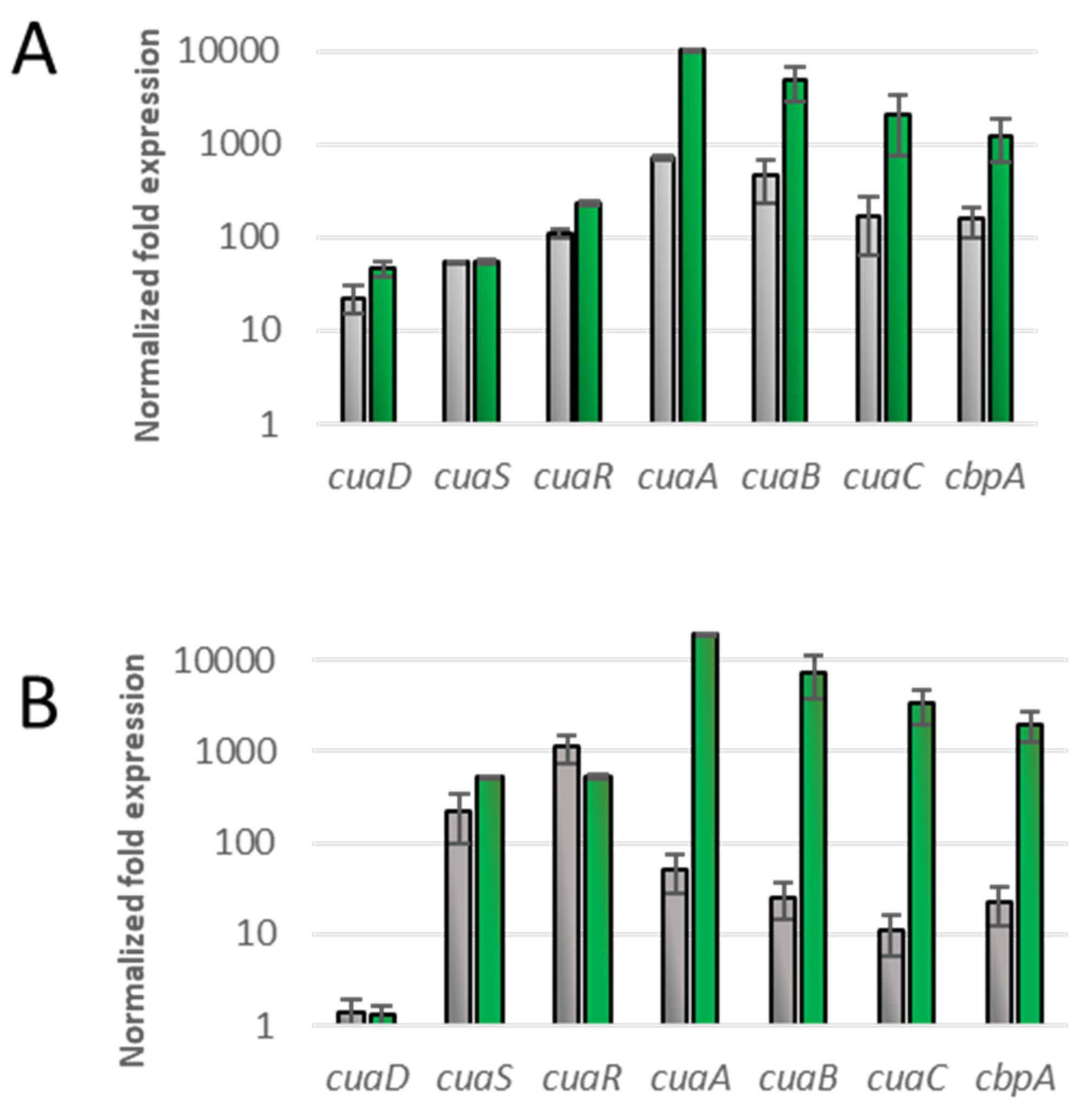 Microorganisms 11 01732 g004 Microorganisms 11 01732 g004