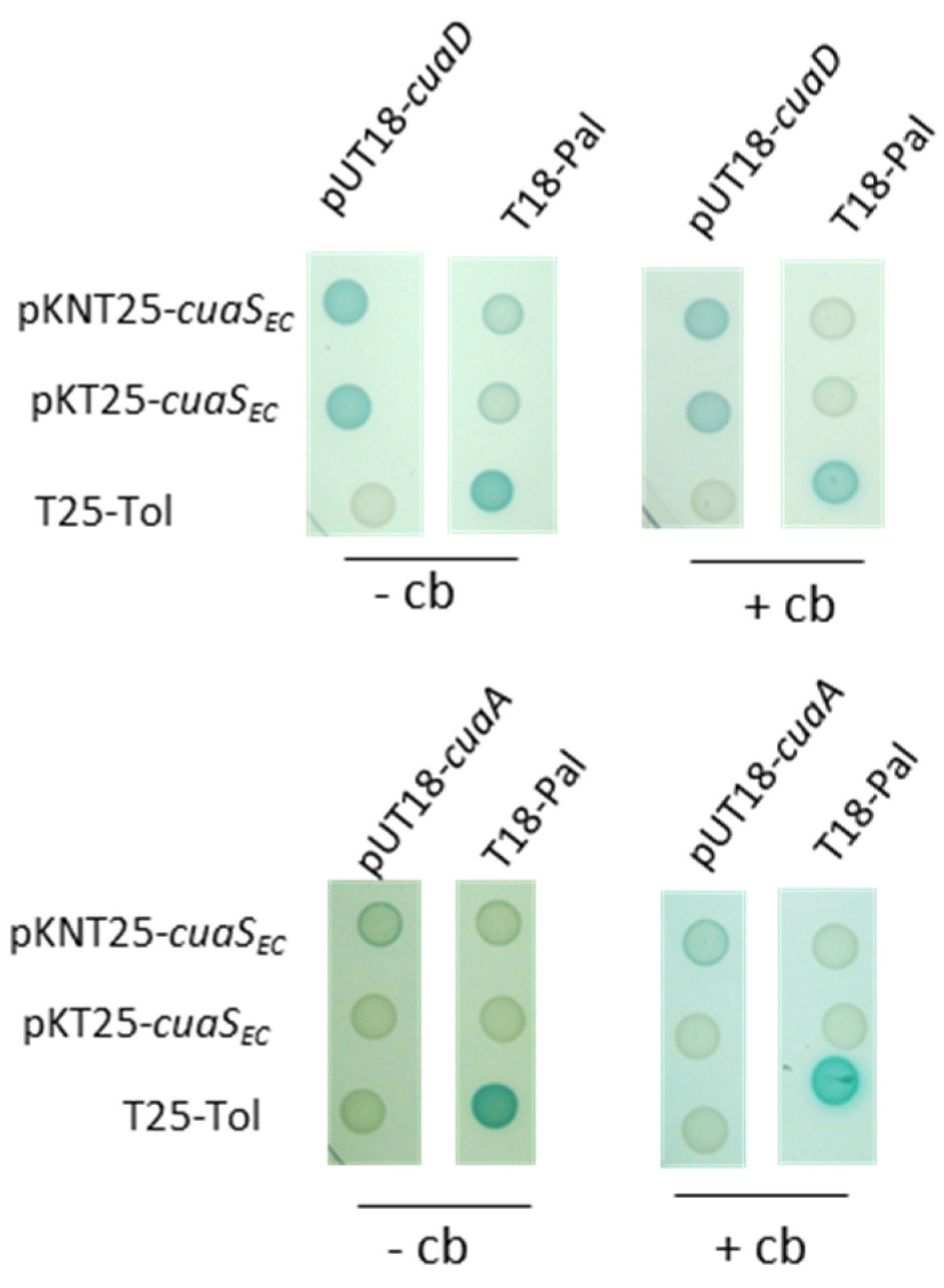 Microorganisms 11 01732 g006 Microorganisms 11 01732 g006