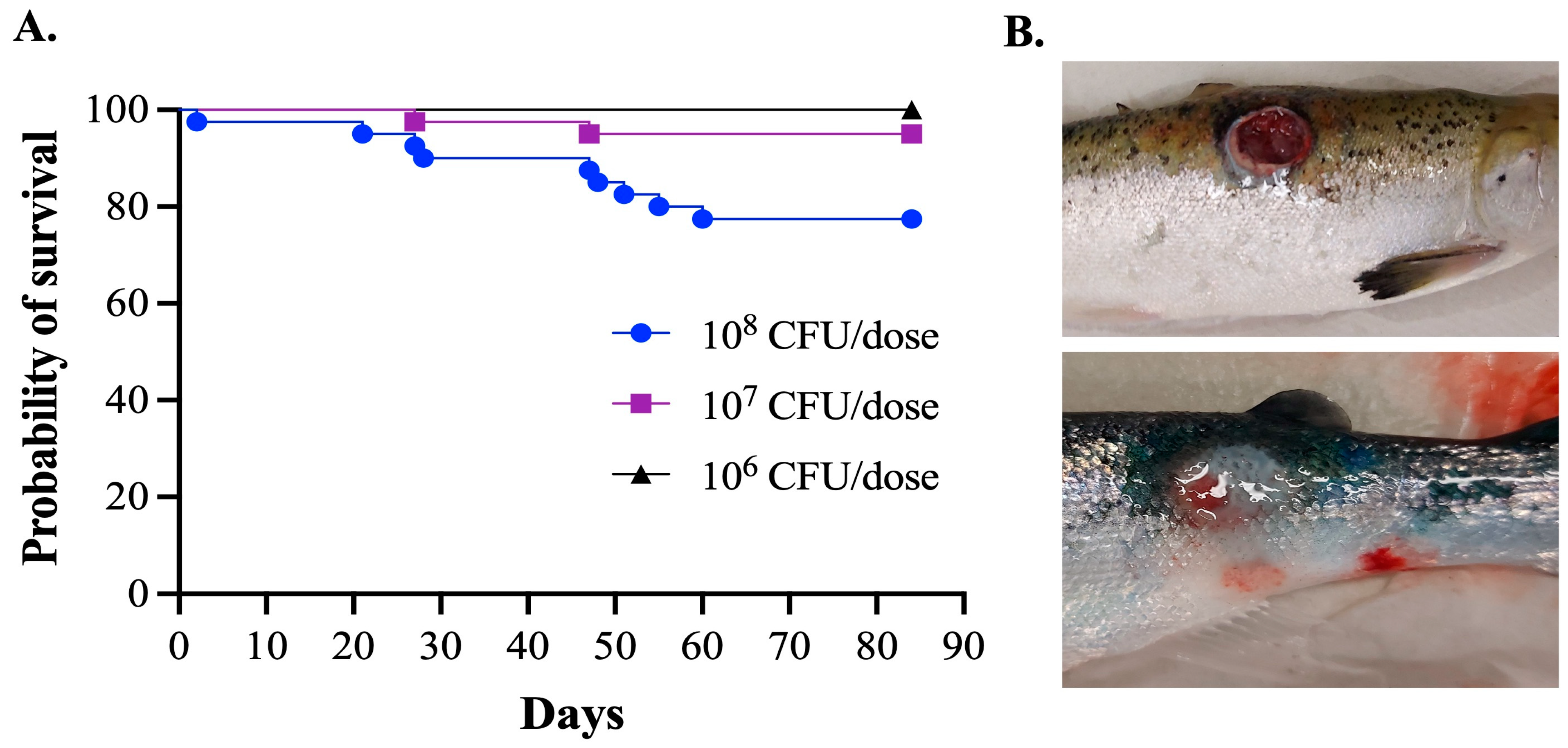 Microorganisms 11 01736 g002 Microorganisms 11 01736 g002
