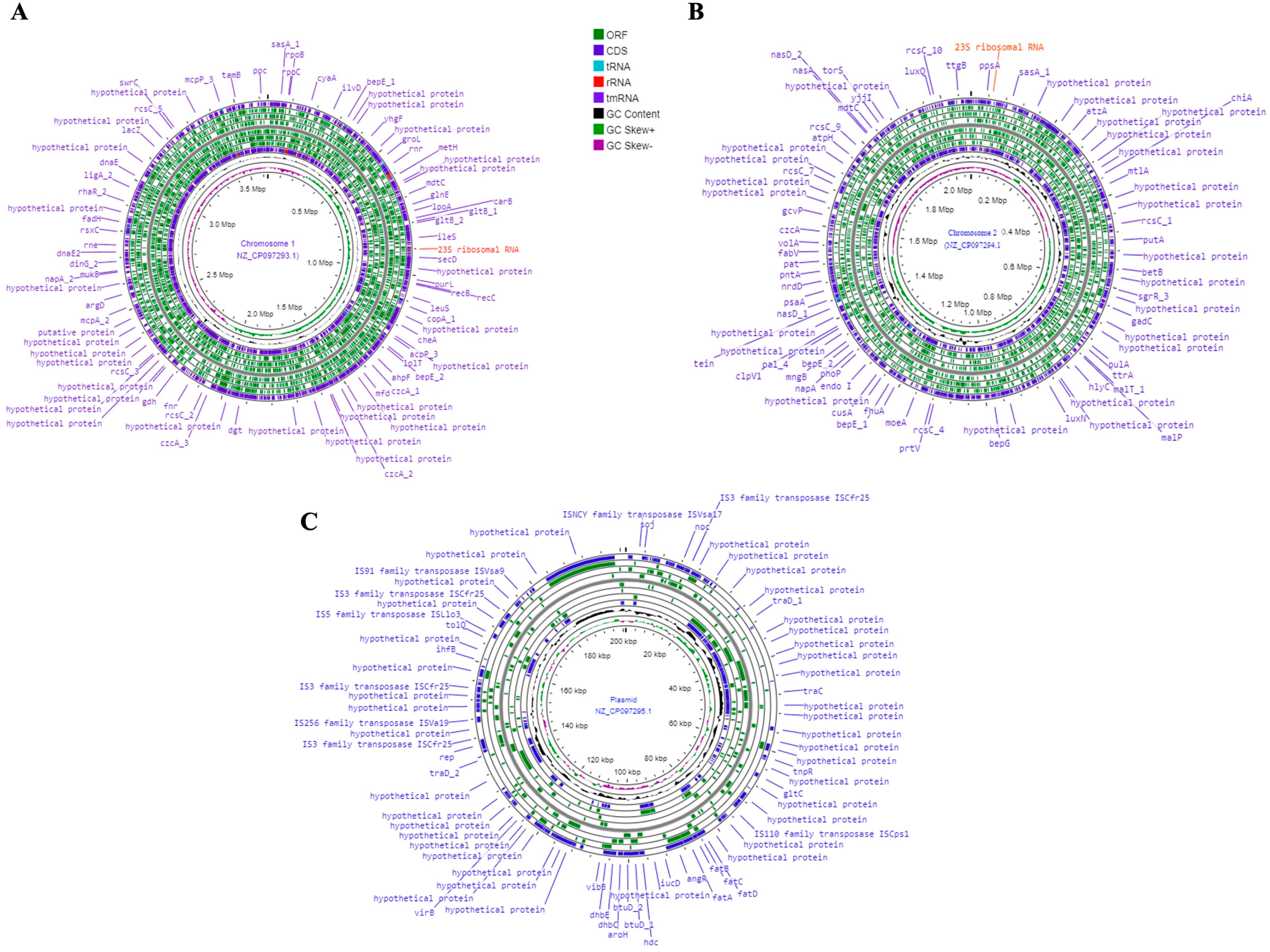 Microorganisms 11 01736 g005 Microorganisms 11 01736 g005