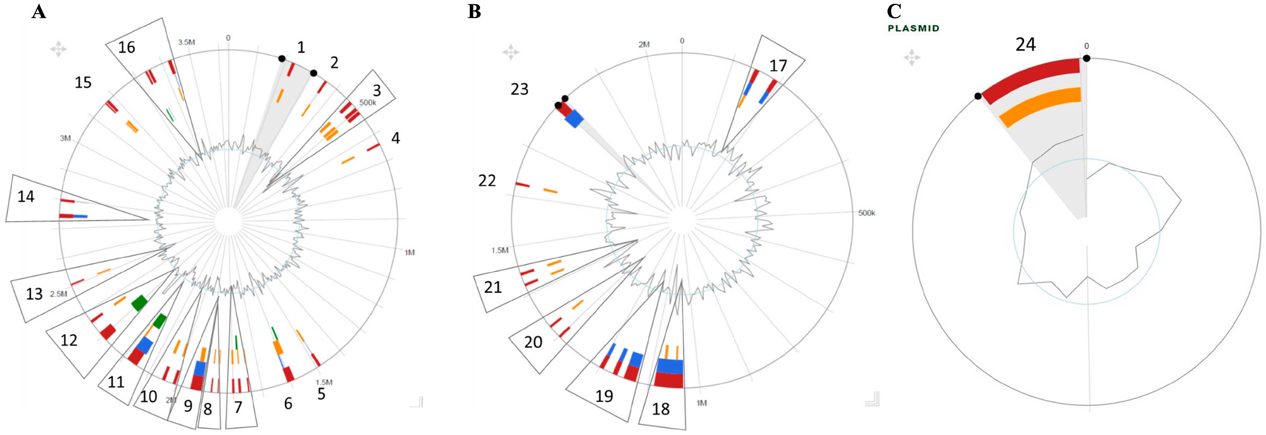 Microorganisms 11 01736 g006 Microorganisms 11 01736 g006