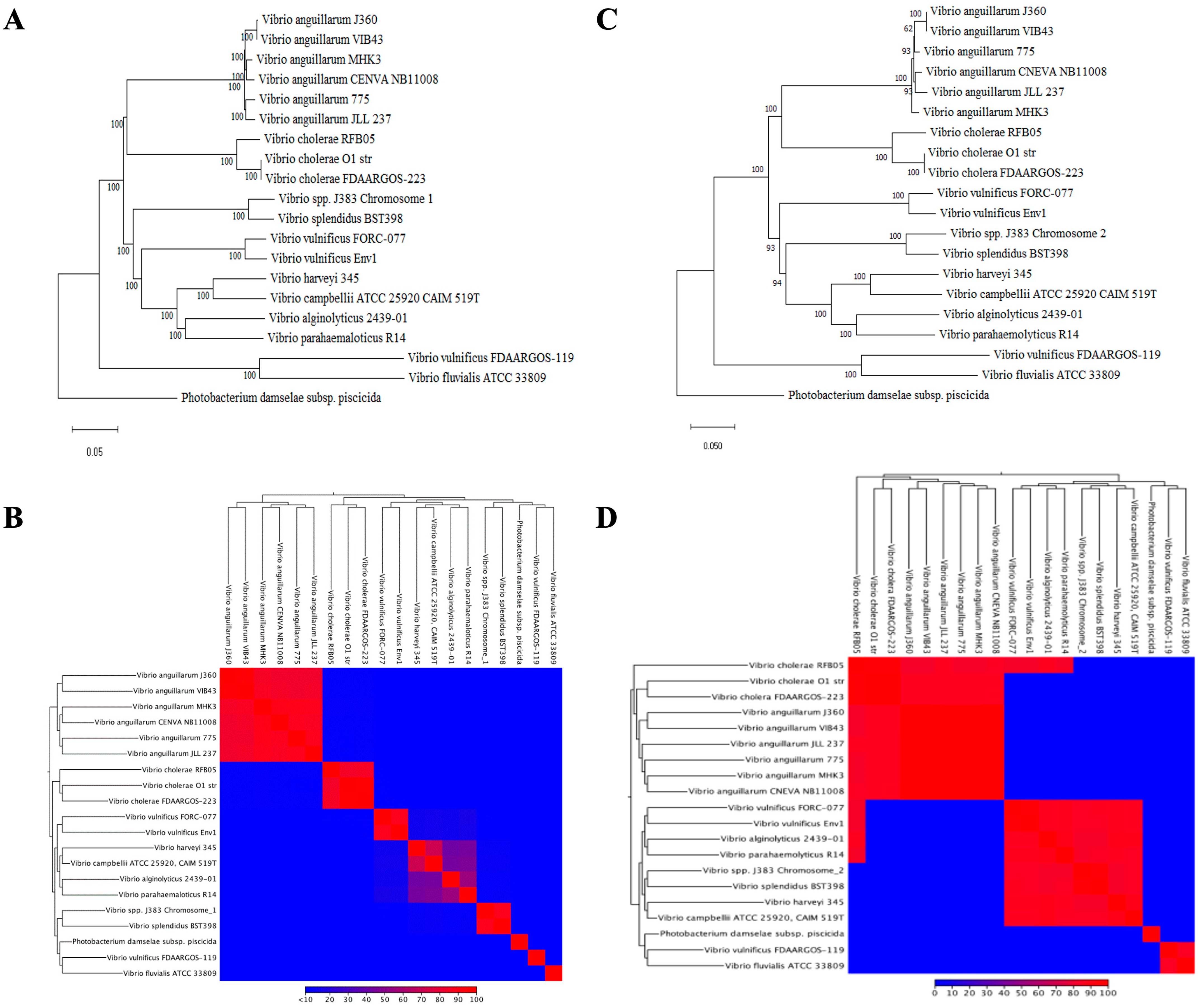 Microorganisms 11 01736 g008 Microorganisms 11 01736 g008